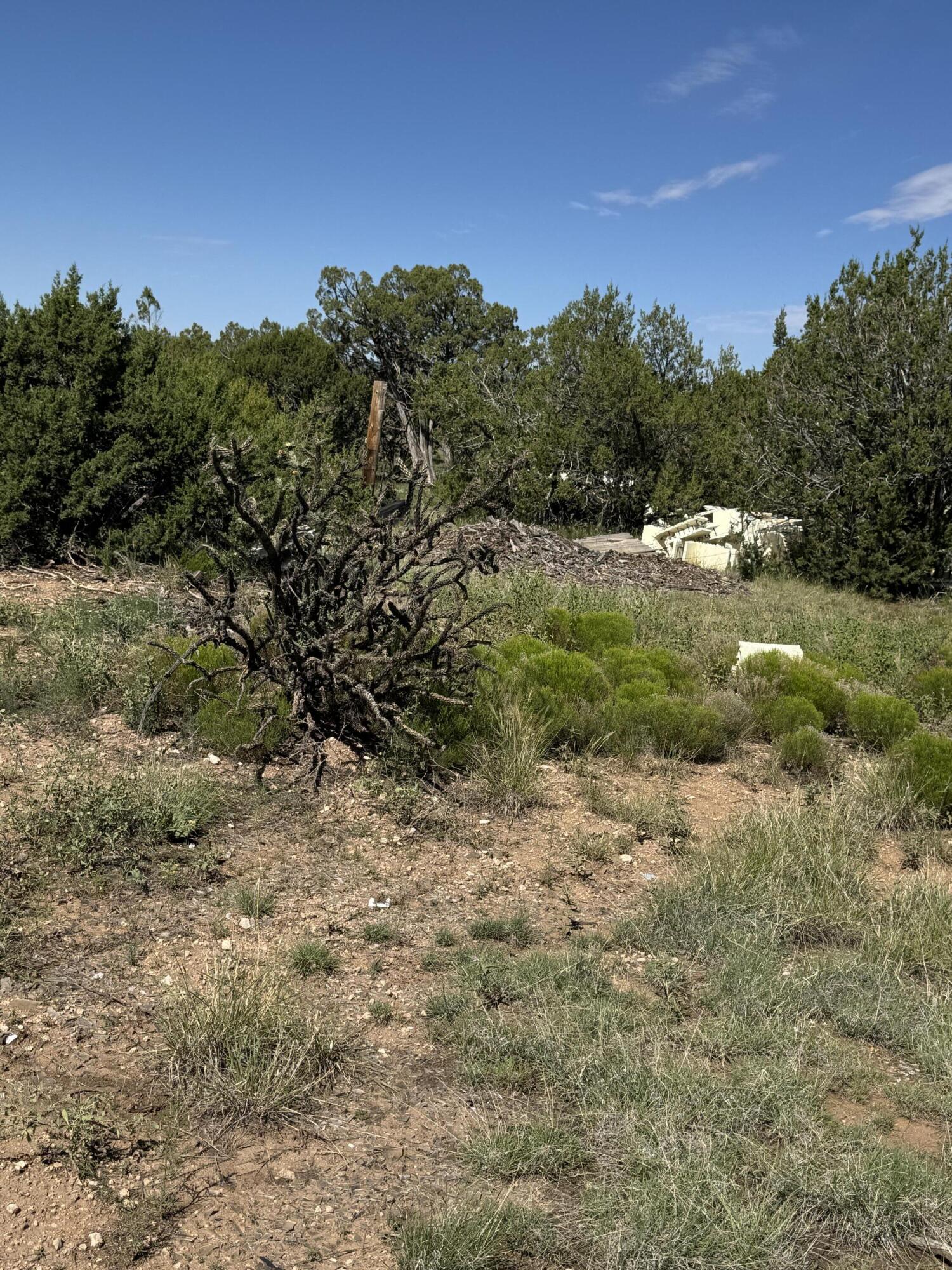 Photo 5 — 296 POHL Road