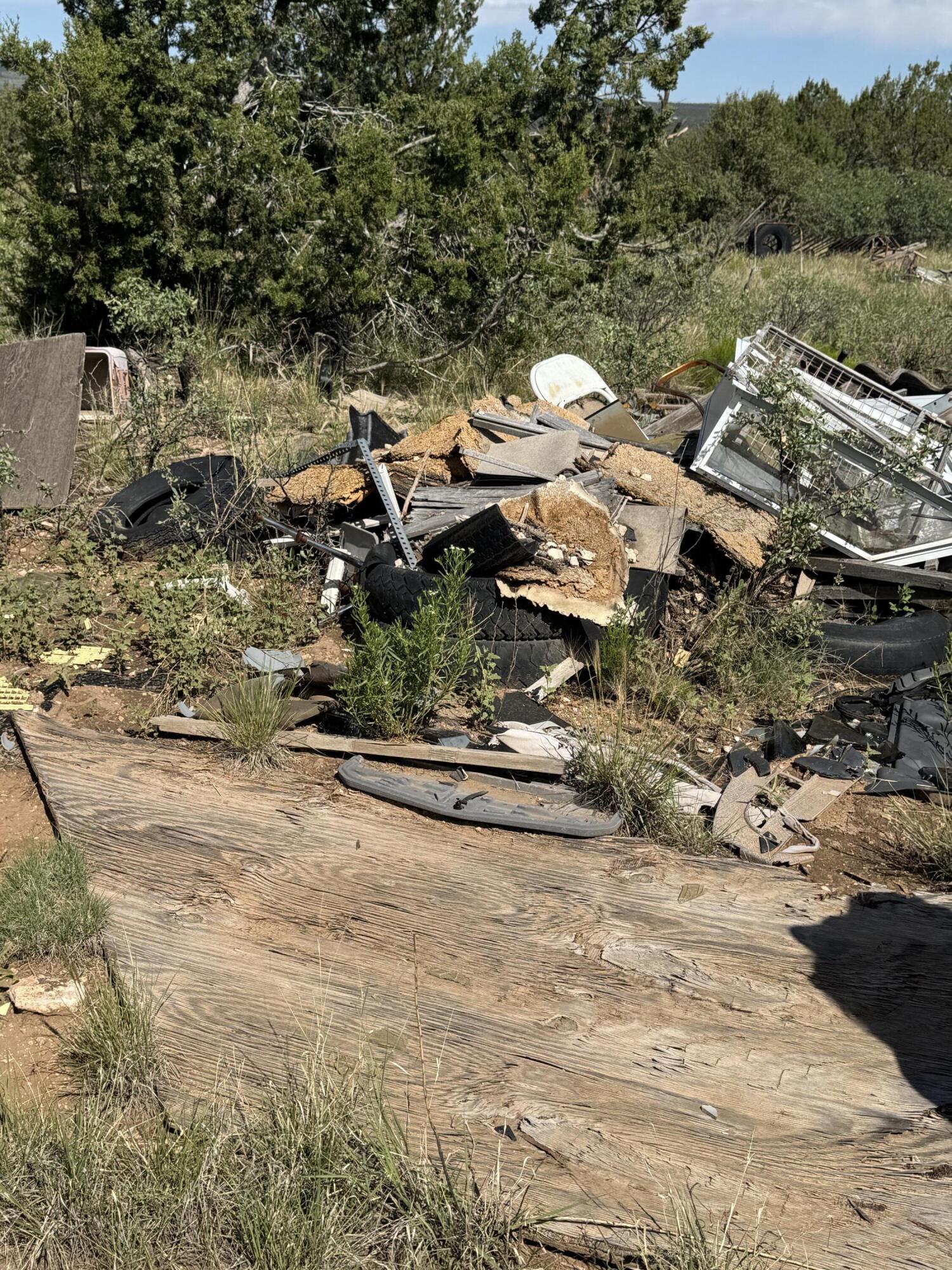 Photo 6 — 296 POHL Road