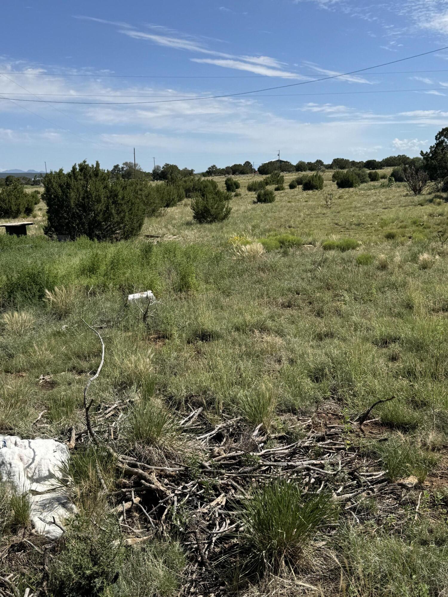 Photo 7 — 296 POHL Road