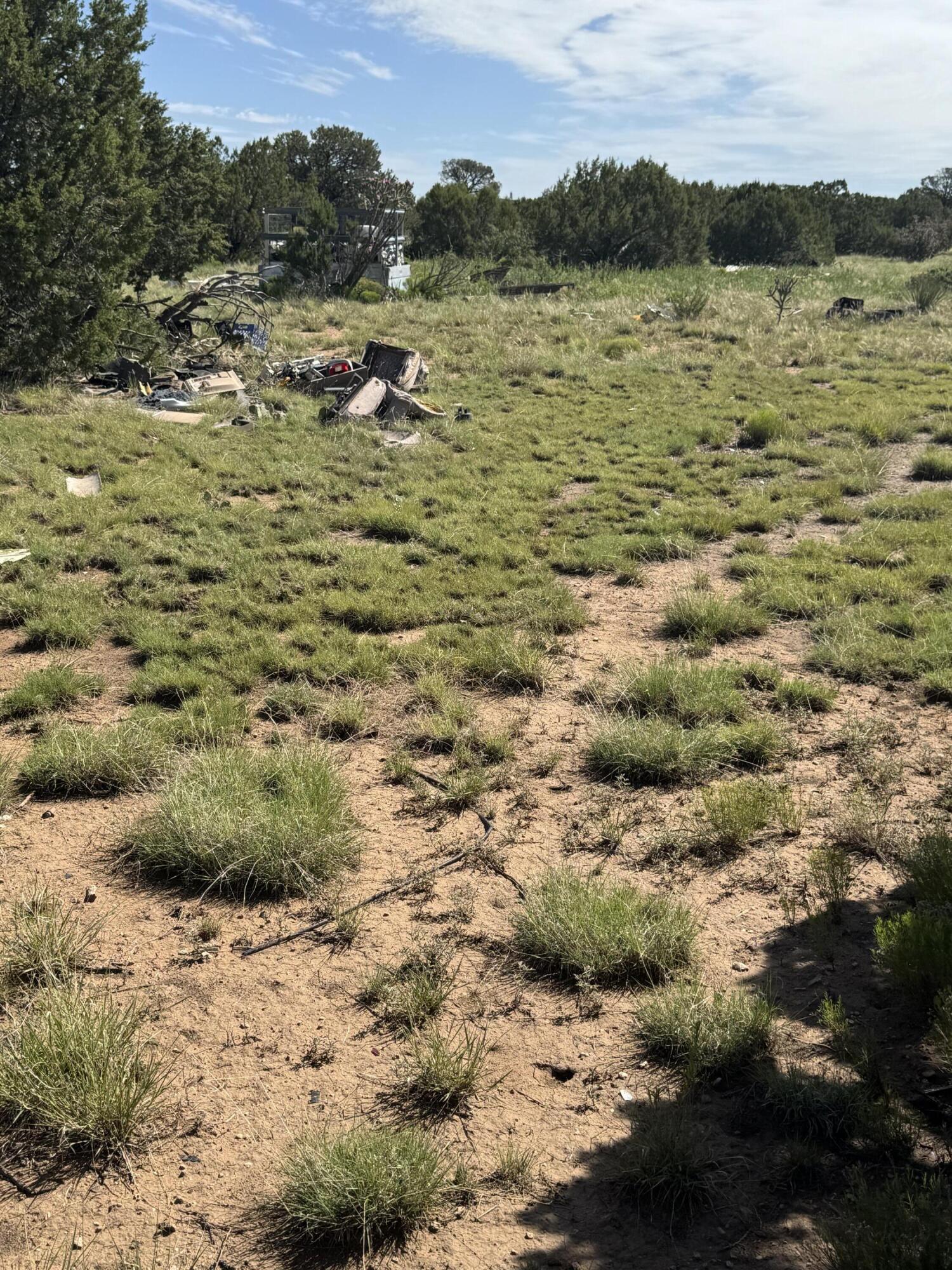 Photo 8 — 296 POHL Road