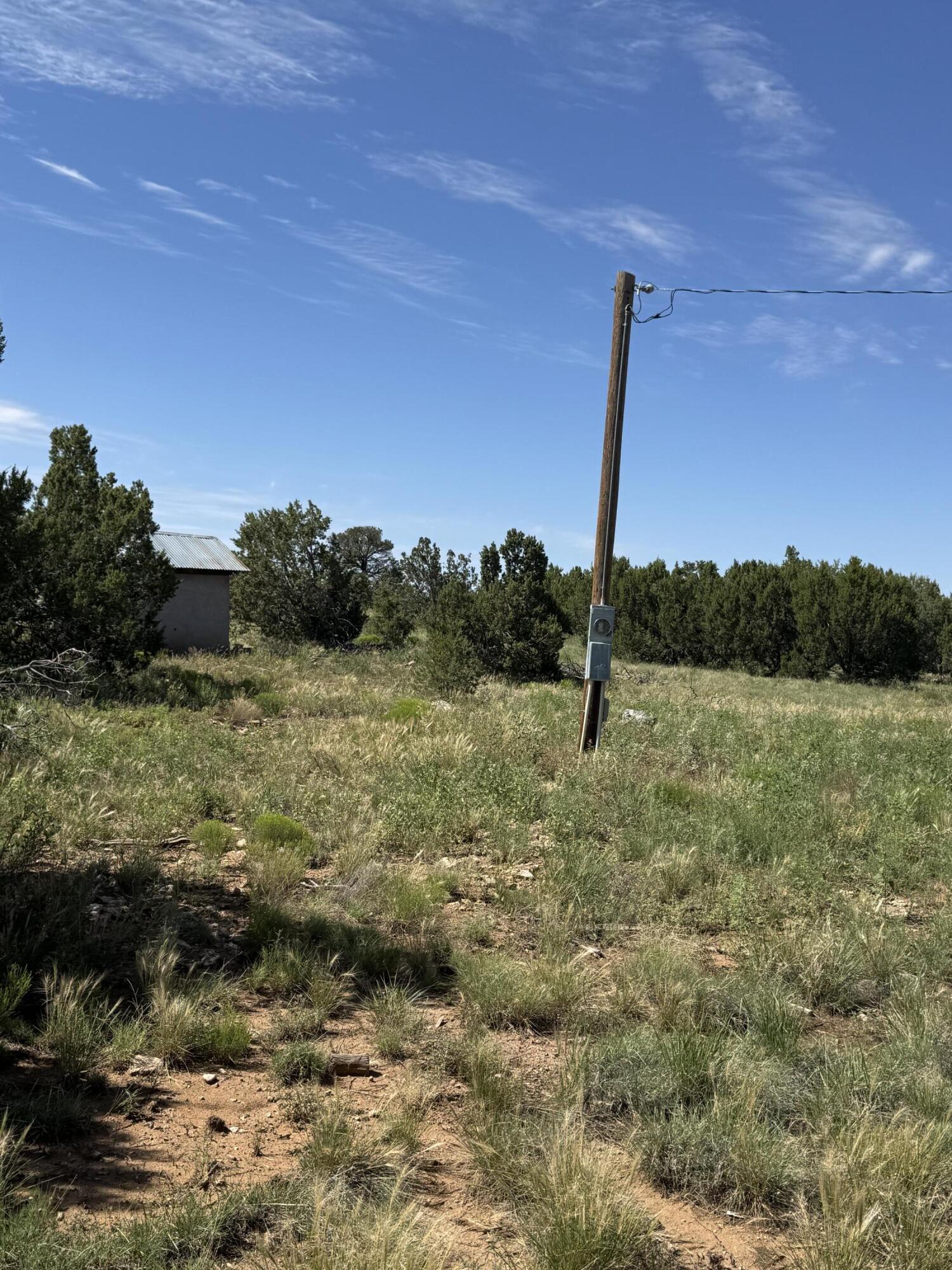 Photo 9 — 296 POHL Road
