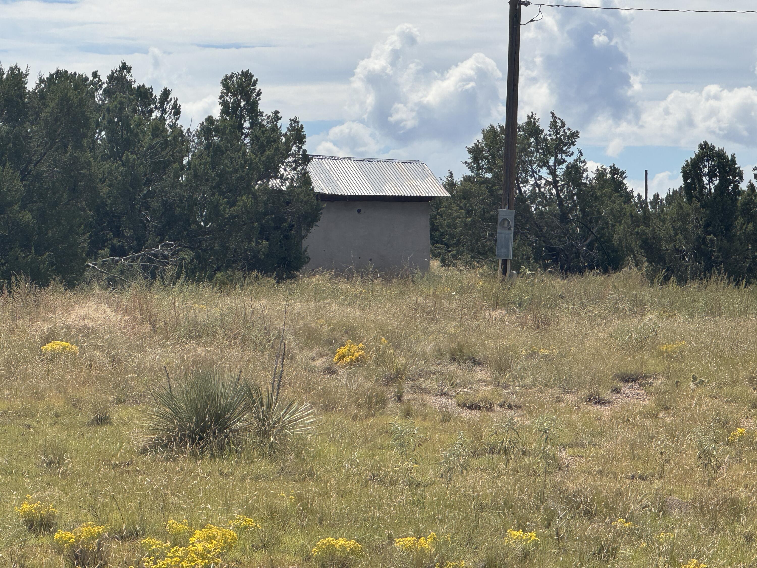 Photo 12 — 296 POHL Road