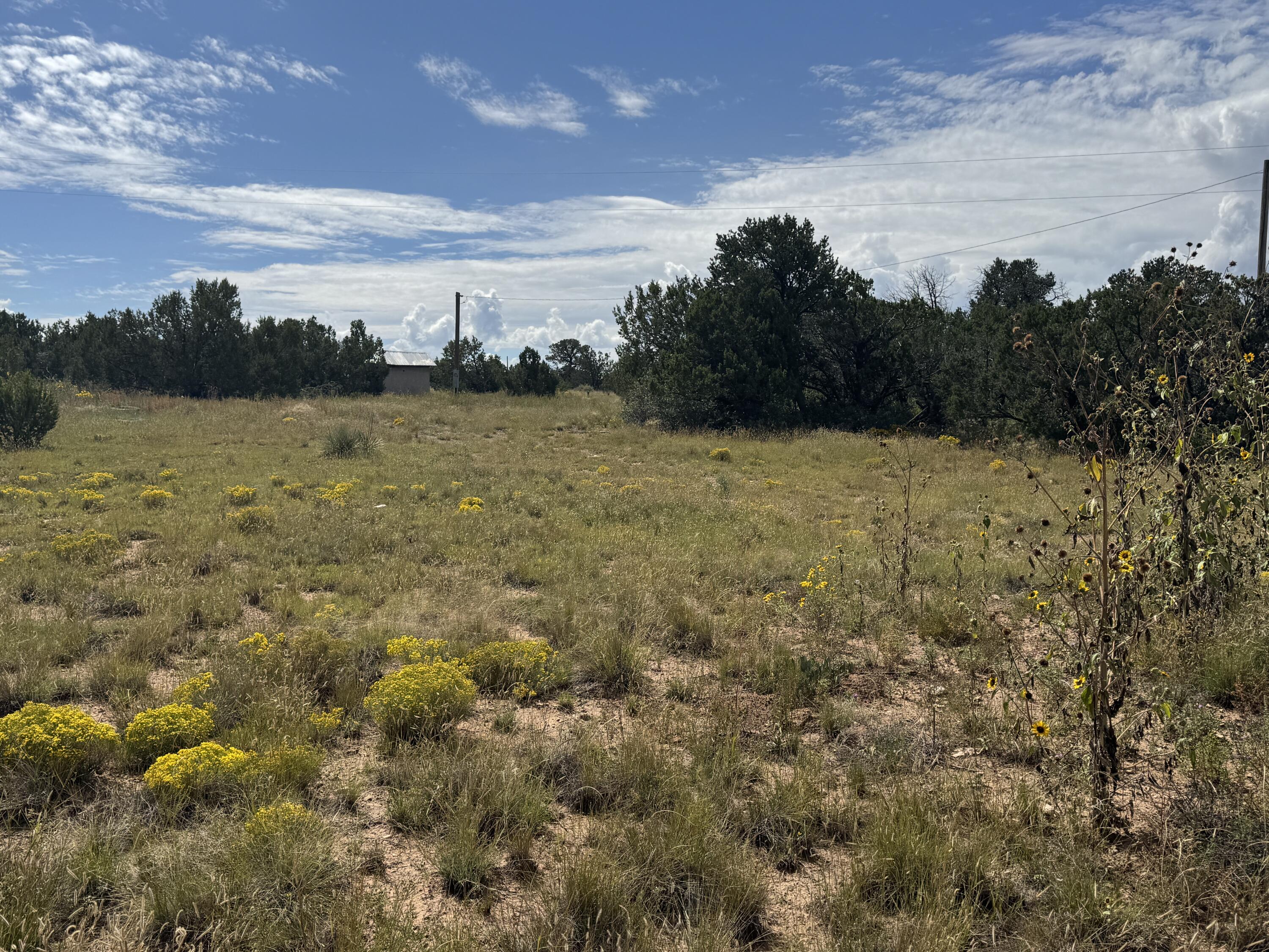 Photo 13 — 296 POHL Road