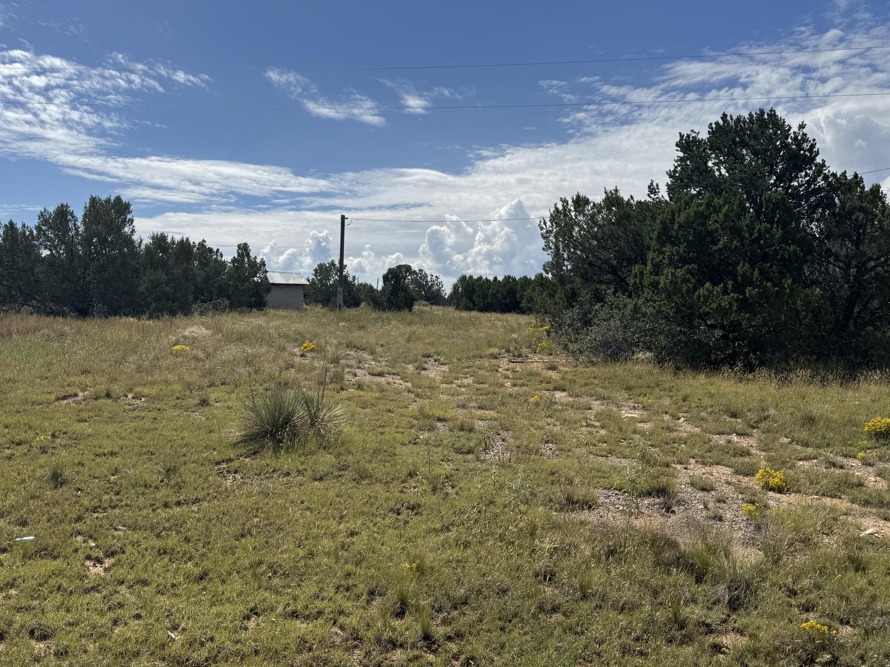 Photo 14 — 296 POHL Road