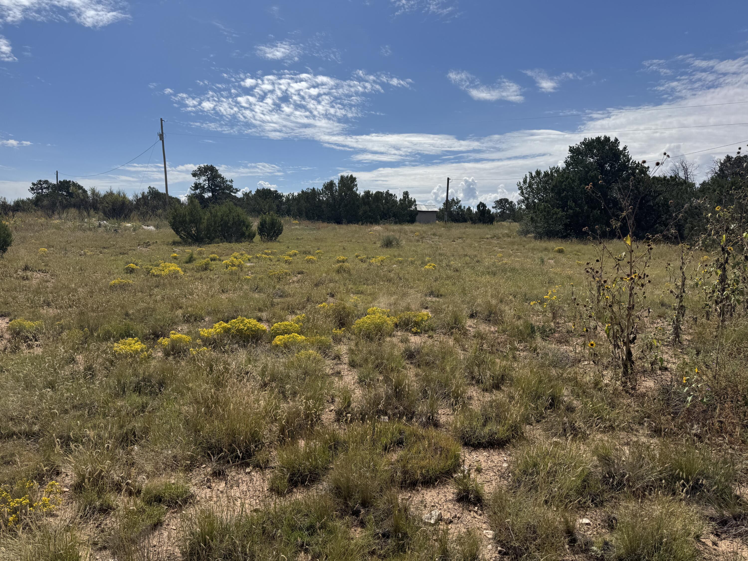 Photo 16 — 296 POHL Road