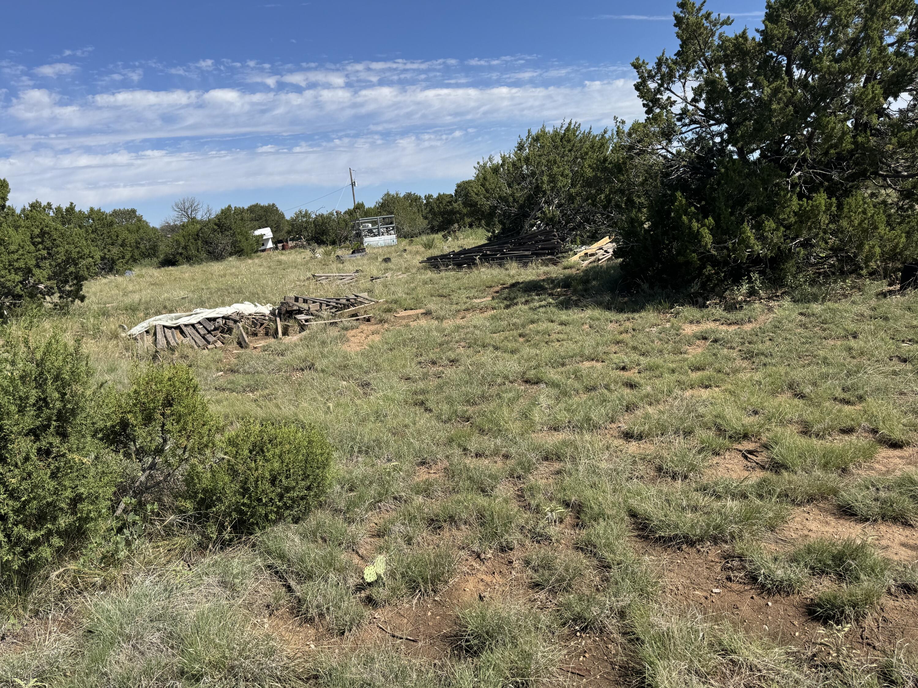 Photo 17 — 296 POHL Road