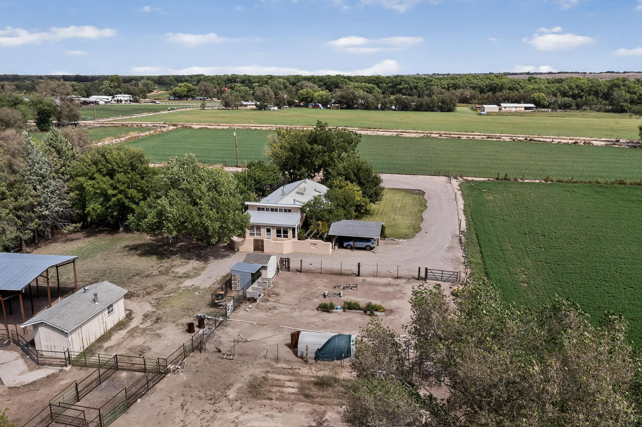Photo 13 — 71 Olguin Road