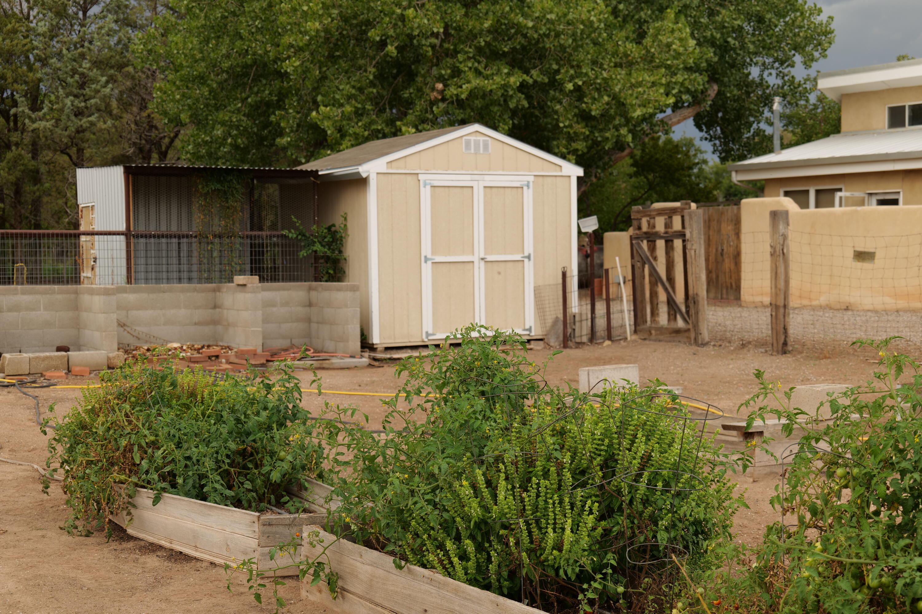 Photo 2 — 71 Olguin Road