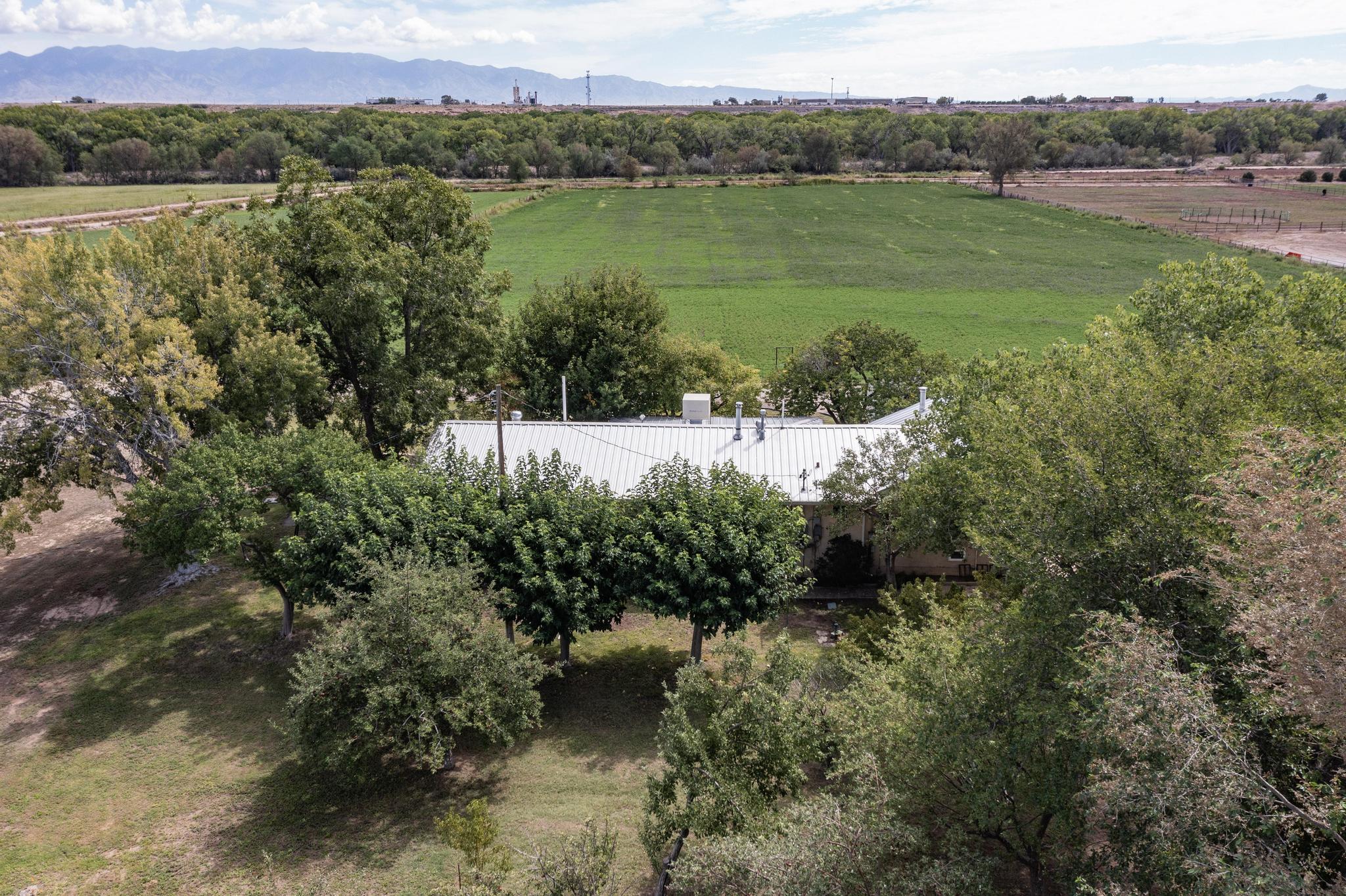 Photo 5 — 71 Olguin Road