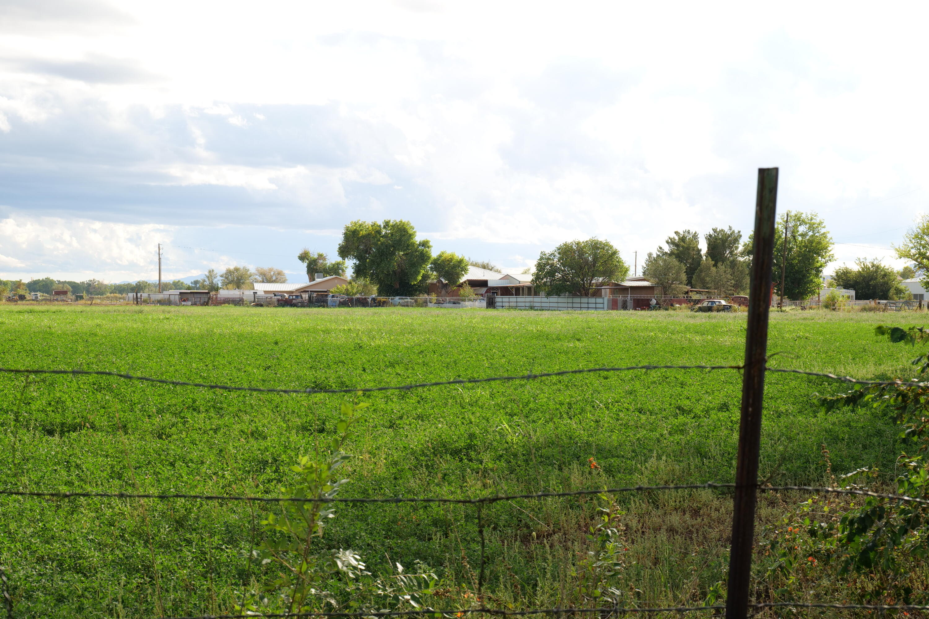 Photo 6 — 71 Olguin Road