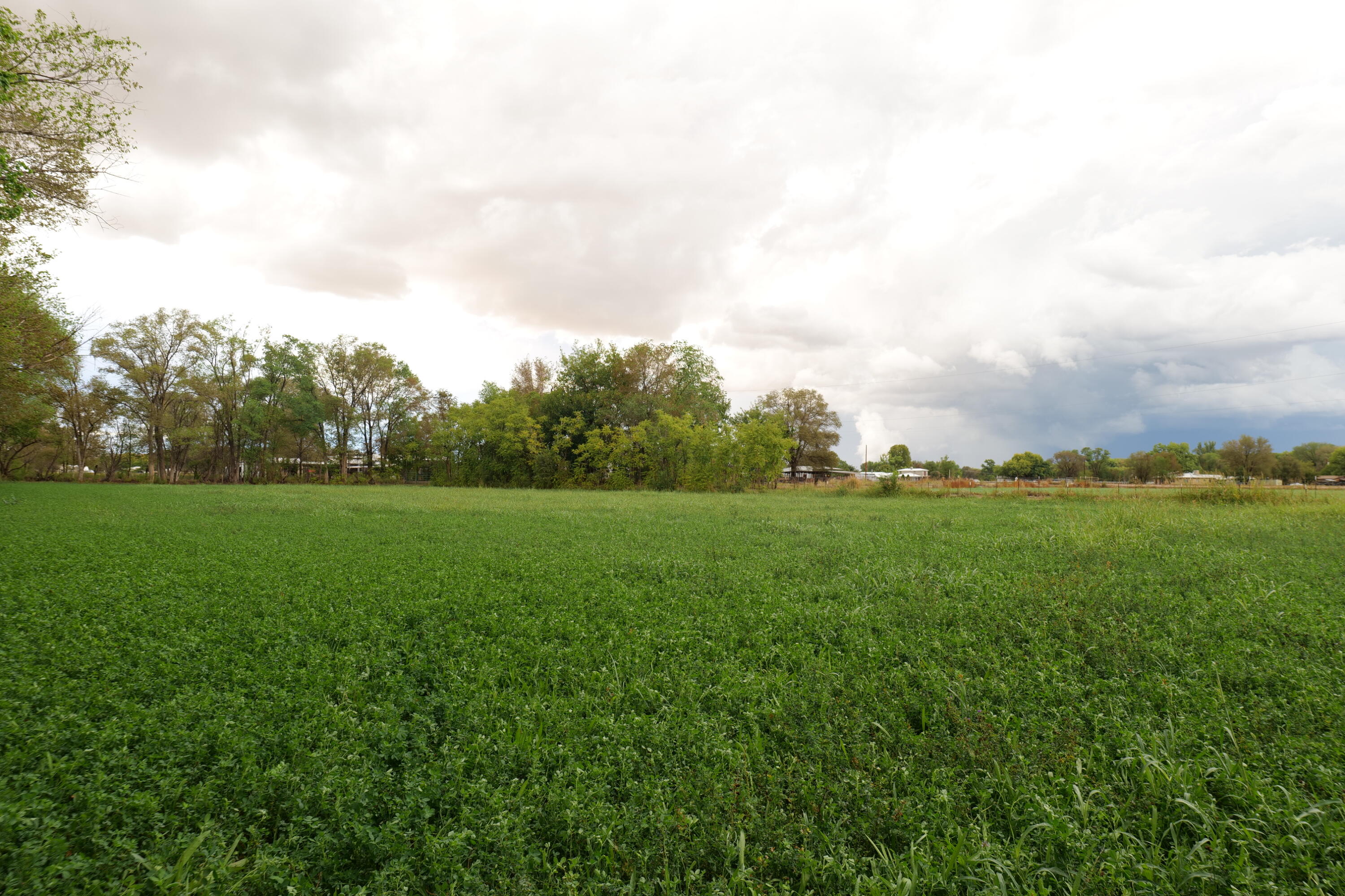 Photo 7 — 71 Olguin Road