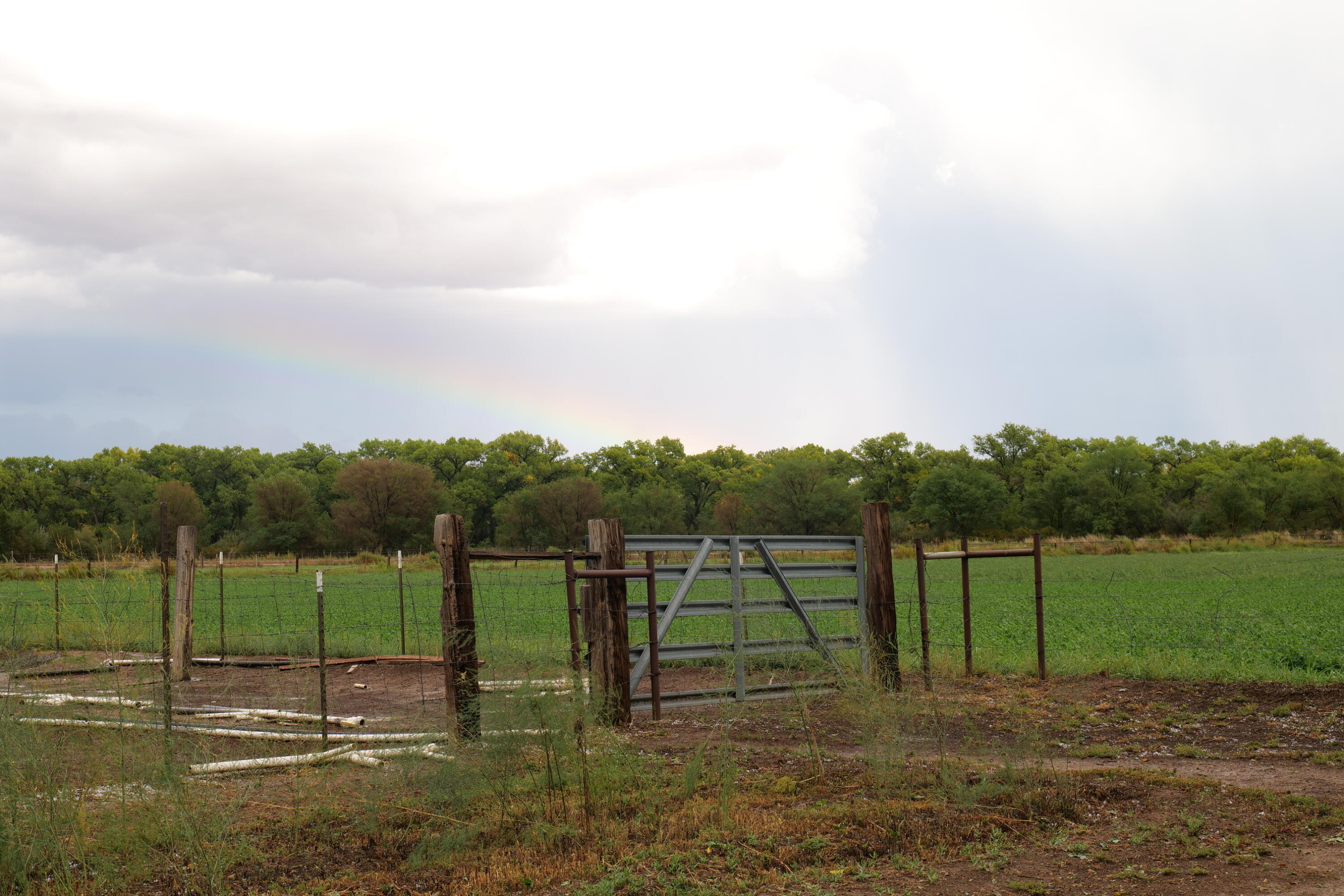 Photo 8 — 71 Olguin Road