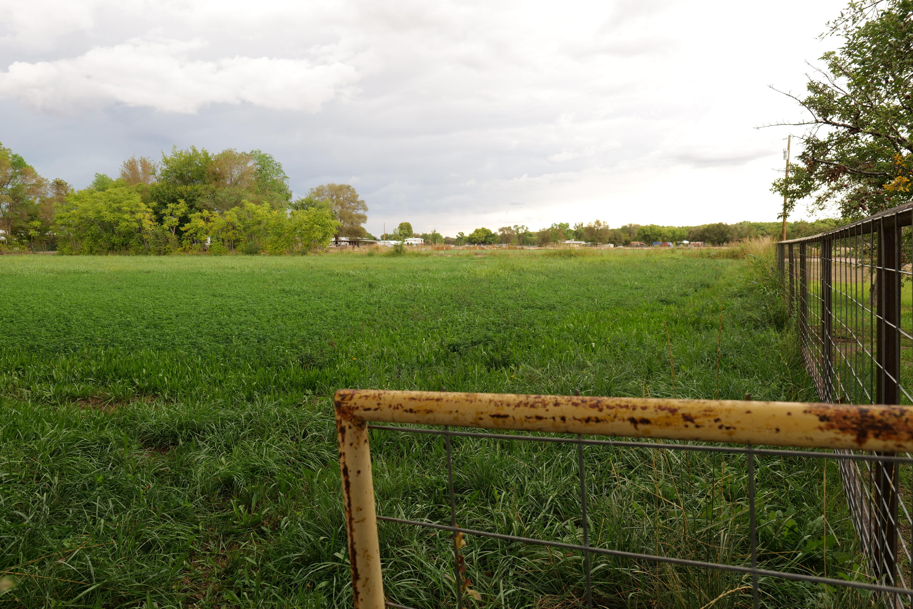 Photo 9 — 71 Olguin Road