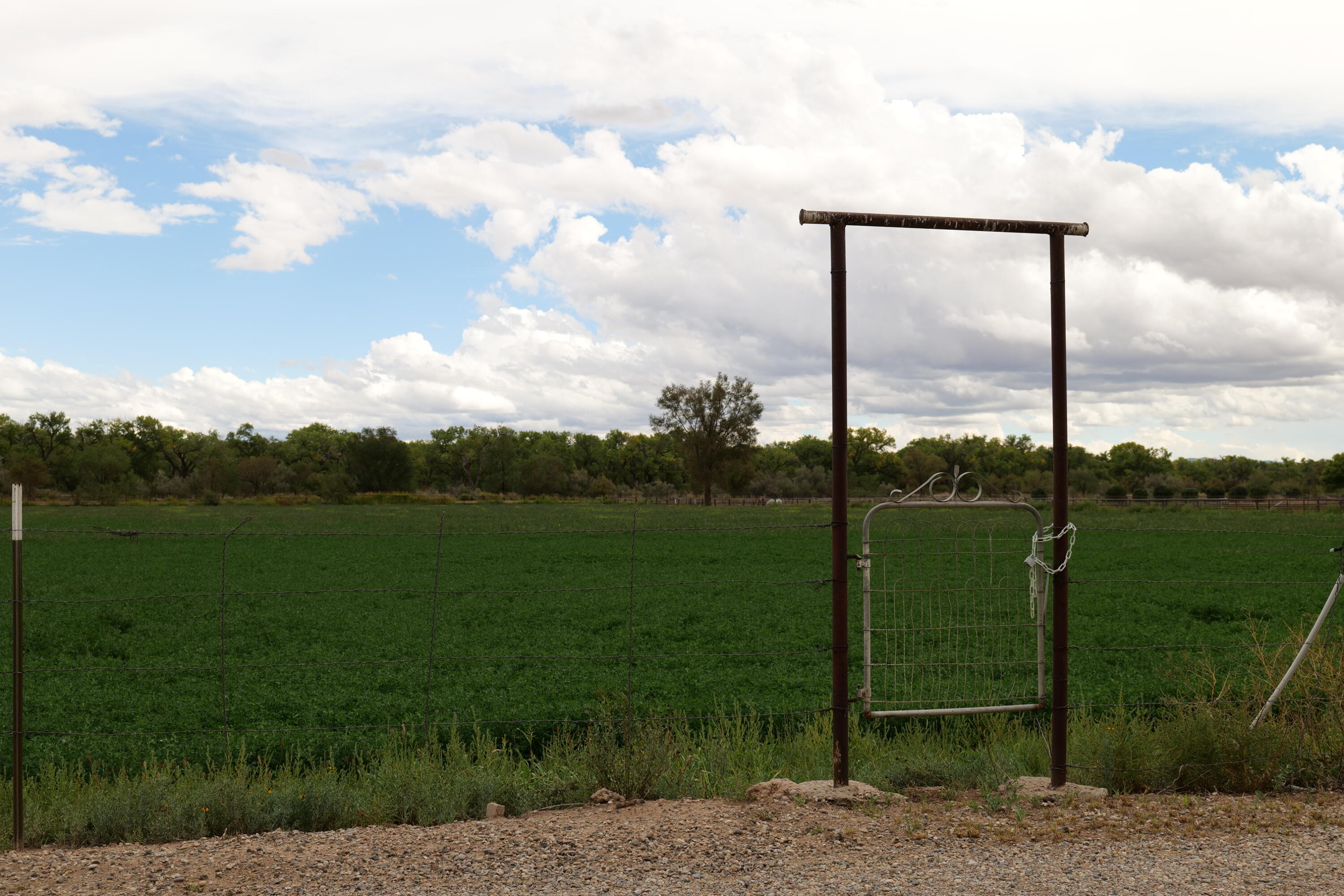 Photo 10 — 71 Olguin Road