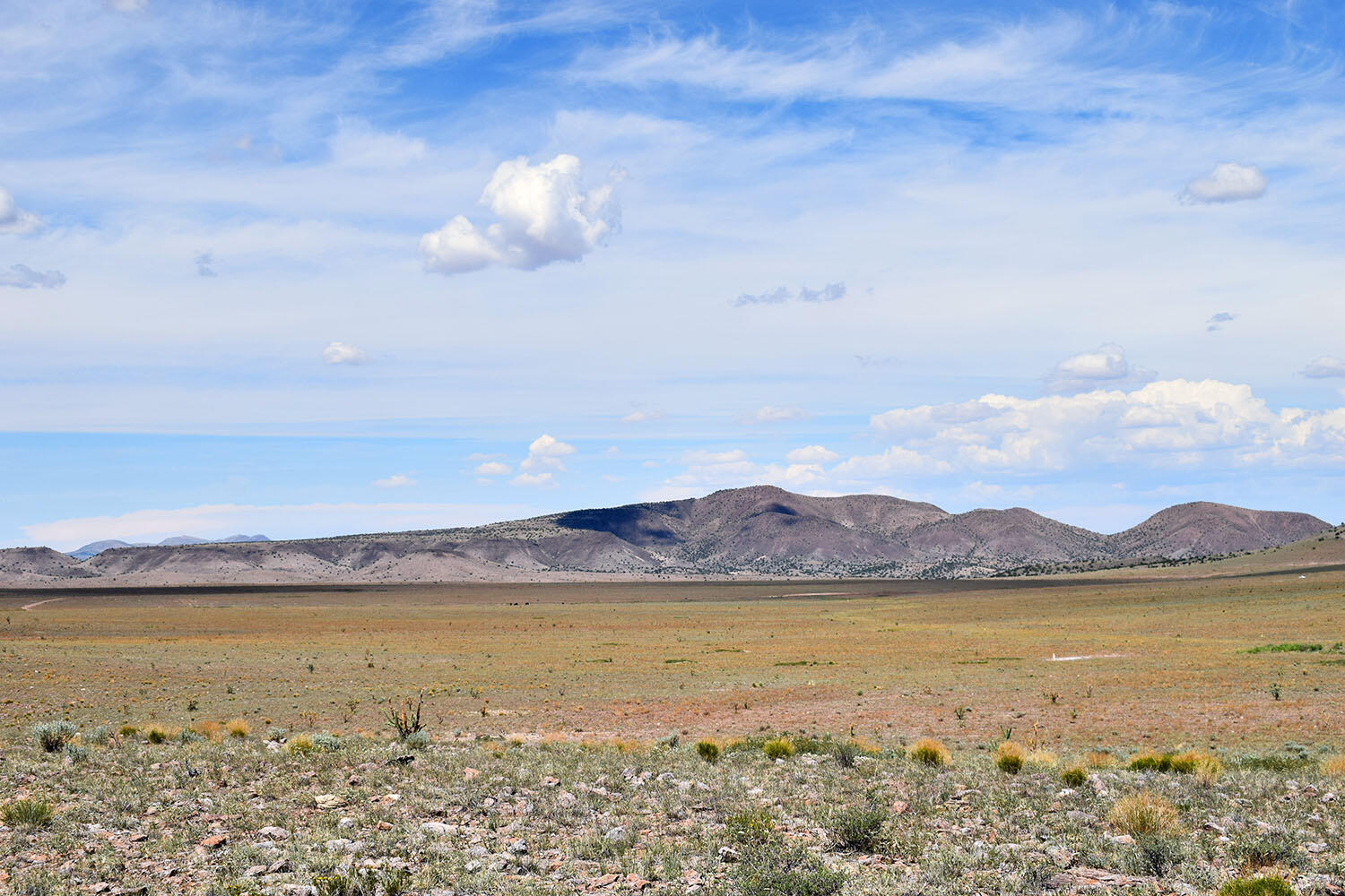 Photo 17 — 13 Roadrunner Road