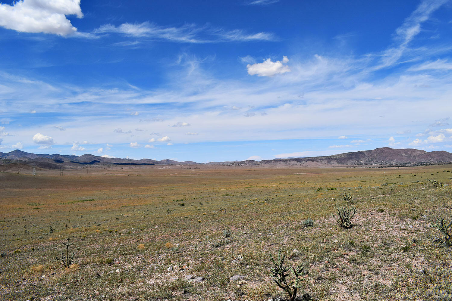 Photo 20 — 13 Roadrunner Road