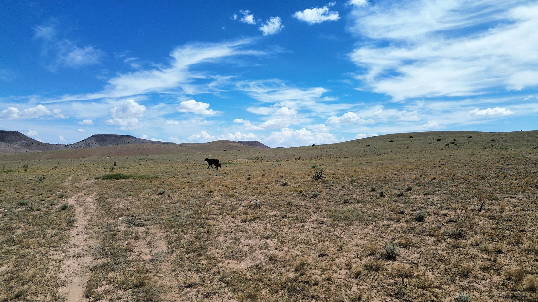 Photo 3 — 13 Roadrunner Road