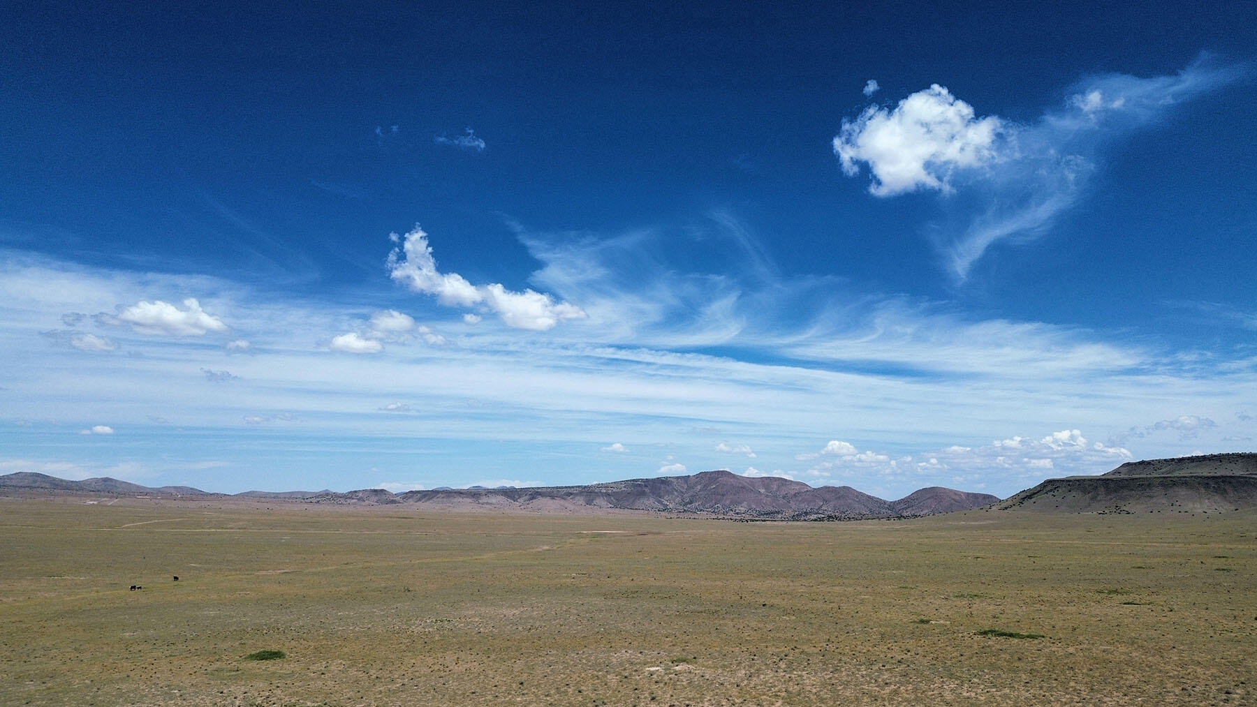 Photo 9 — 13 Roadrunner Road