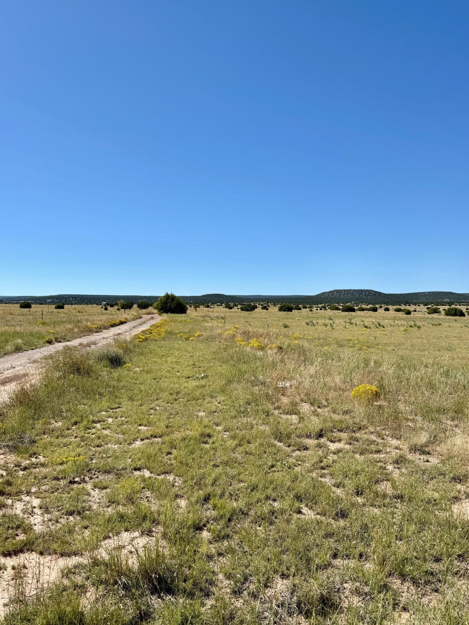 Photo 5 — xx Lexco Road
