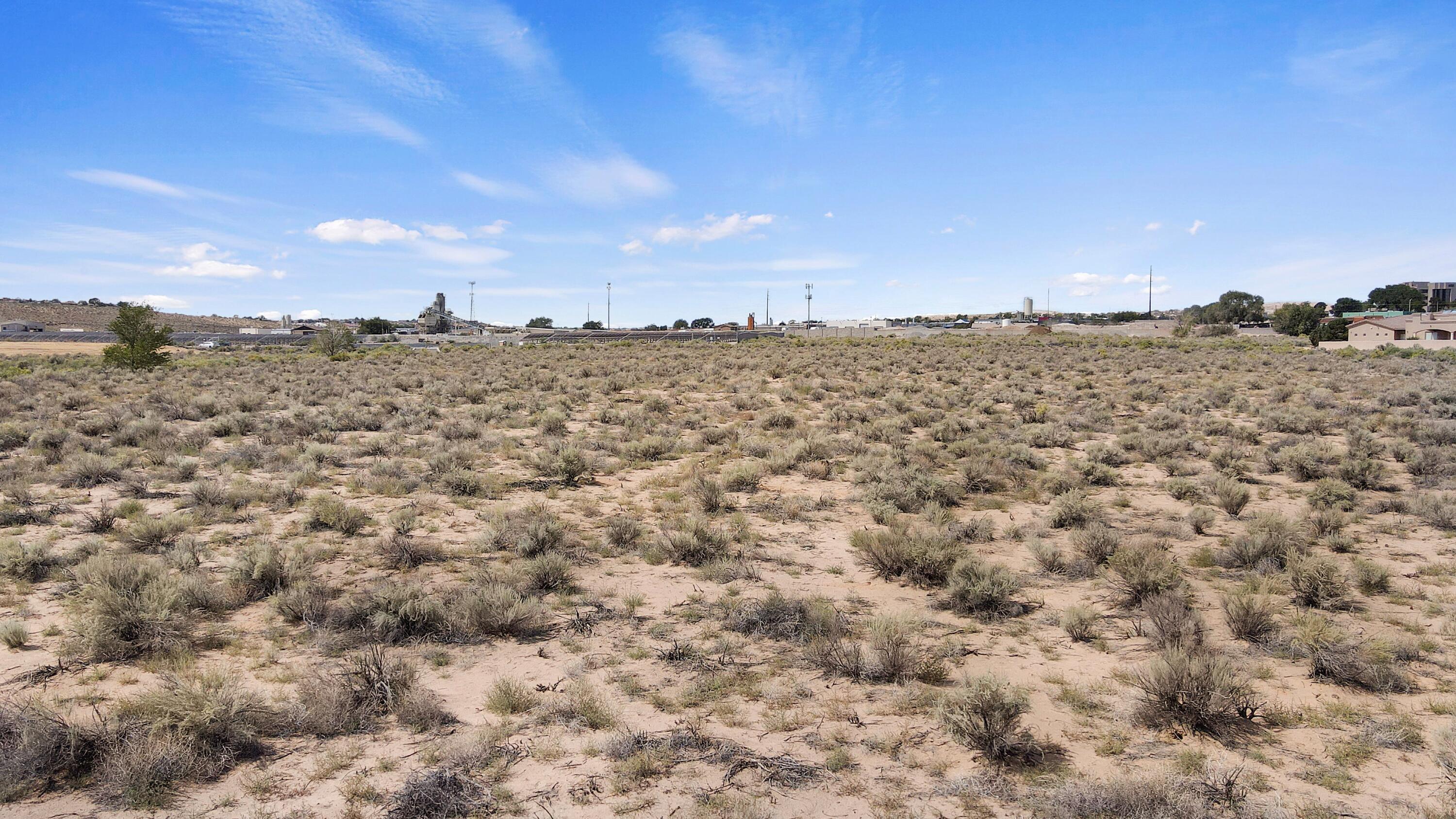 Photo 12 —  Desert Luna Road