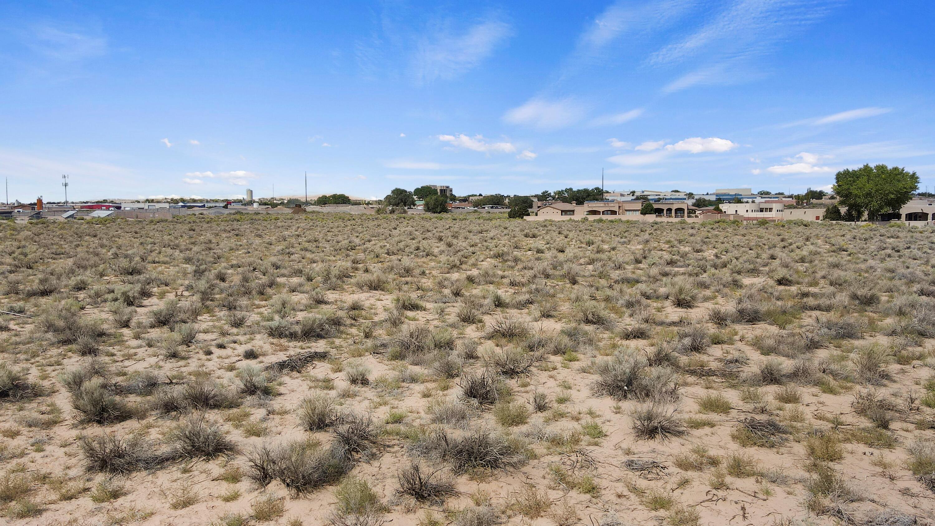 Photo 2 —  Desert Luna Road
