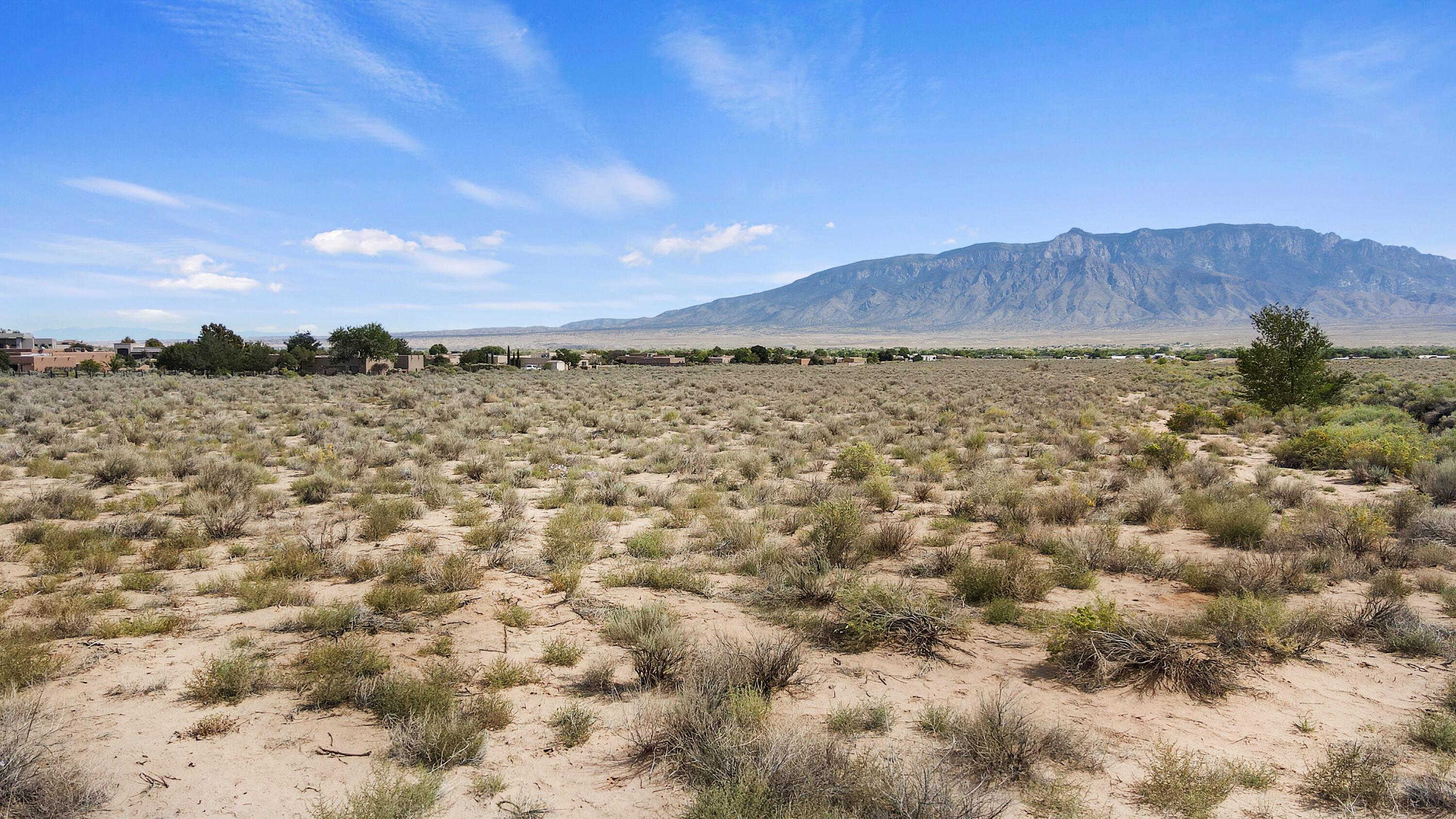 Photo 3 —  Desert Luna Road