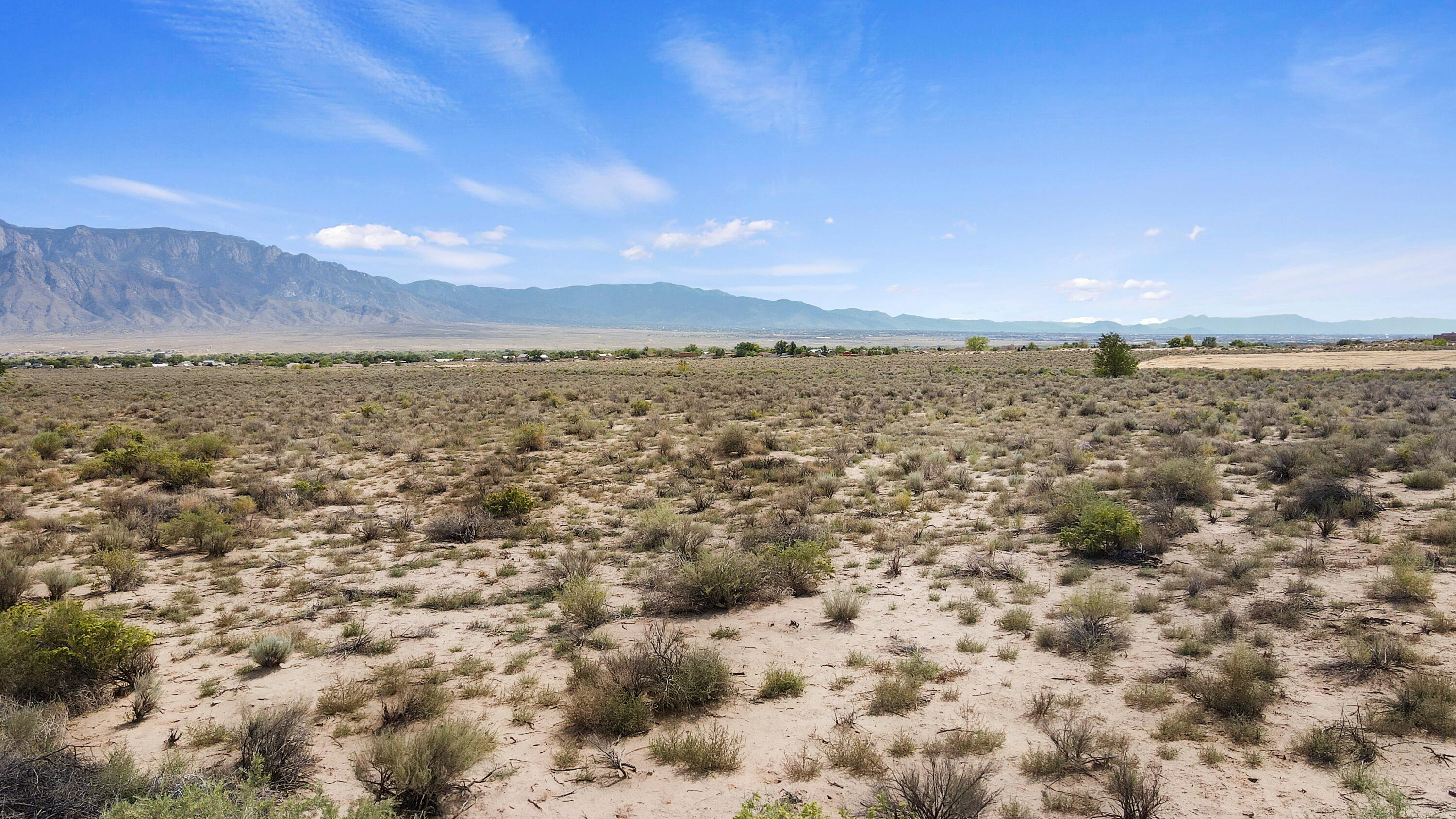 Photo 4 —  Desert Luna Road
