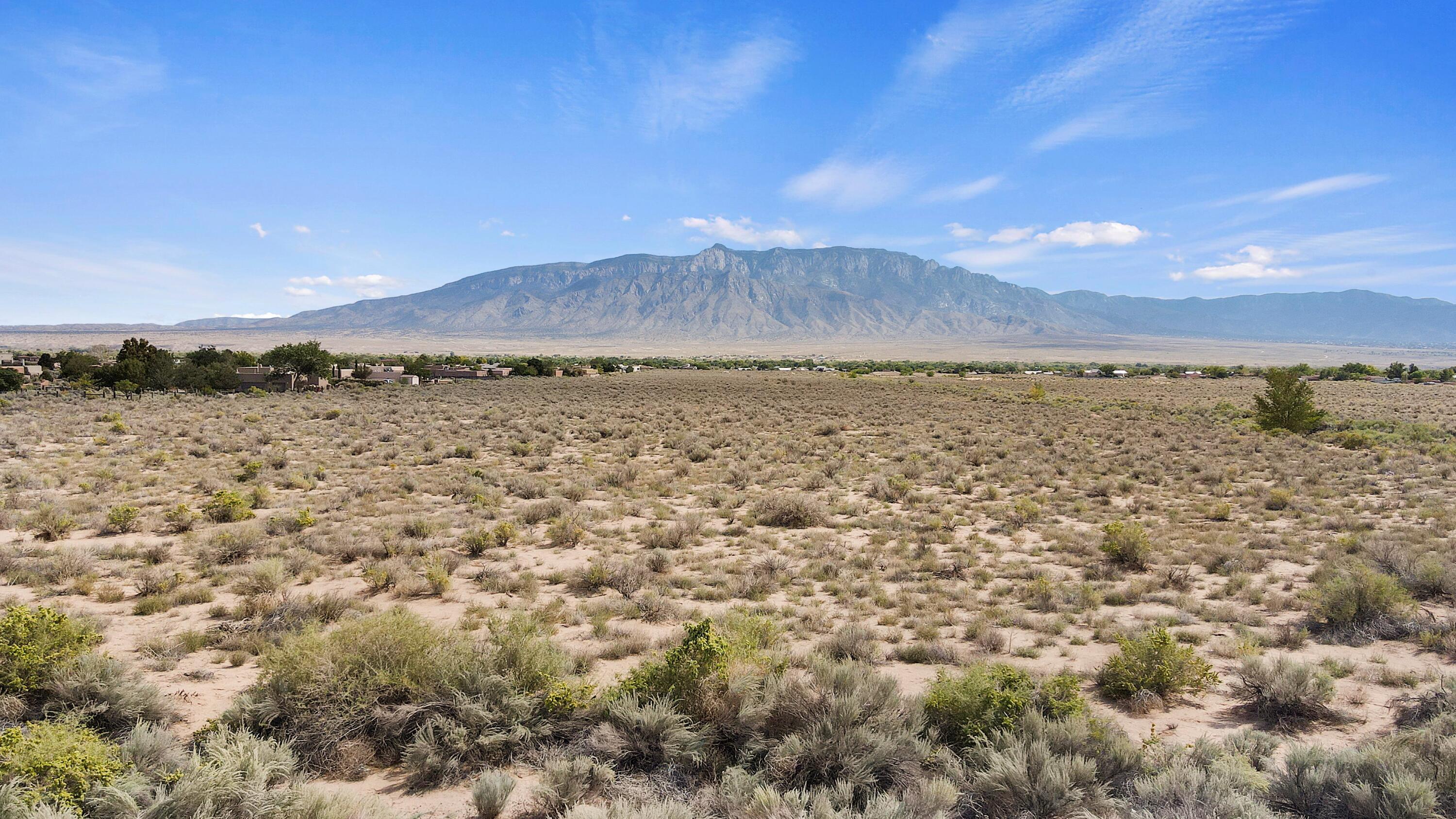 Photo 5 —  Desert Luna Road