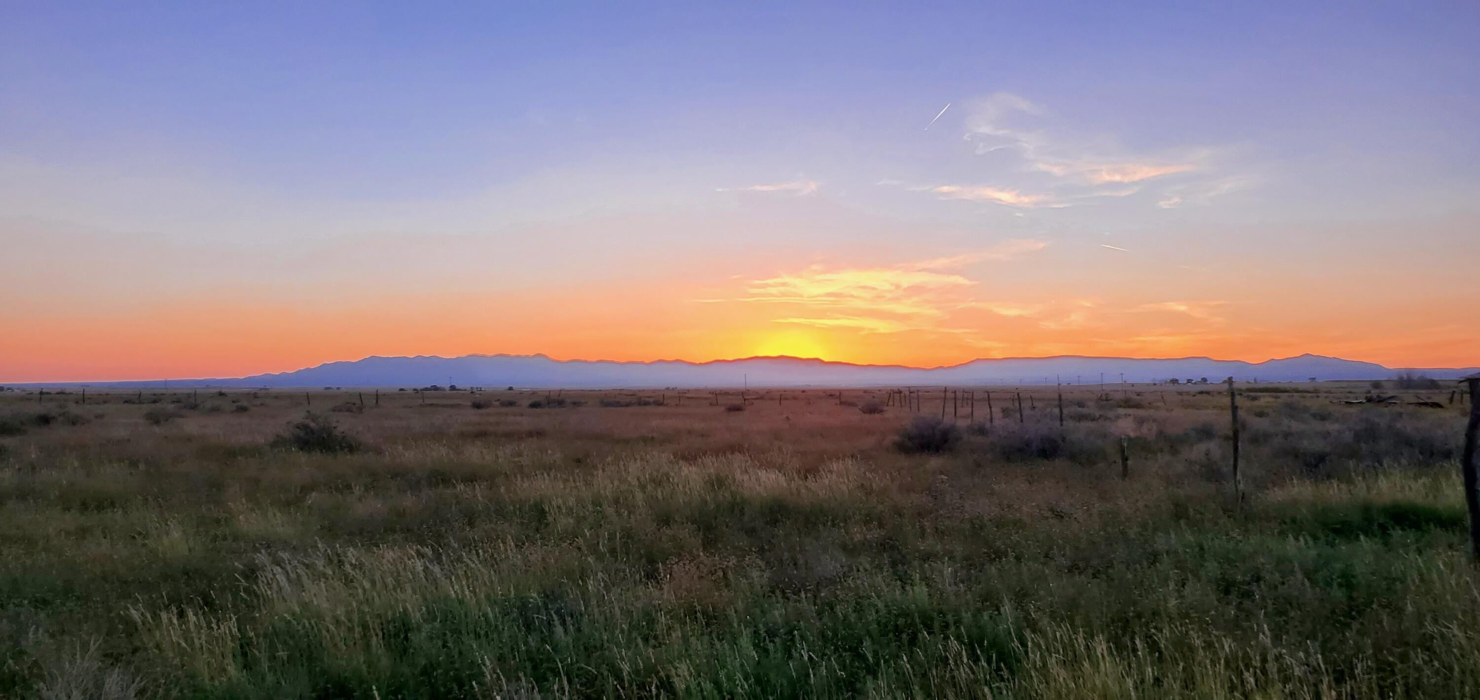 Photo 4 — Langley Langley Tract 2 40acre