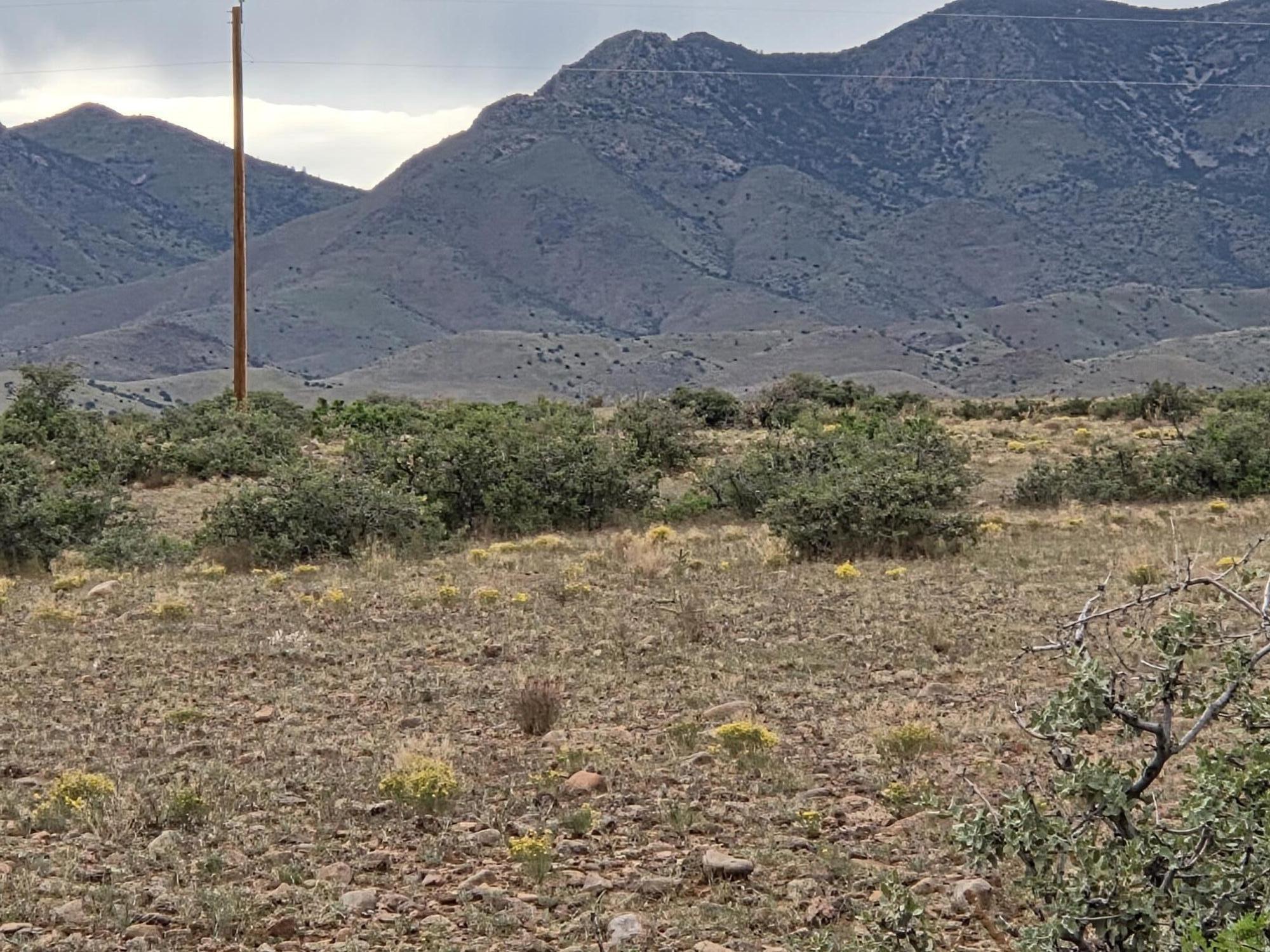 Photo 10 — VL WILLOW SPRINGS RANCH Lot 2-9