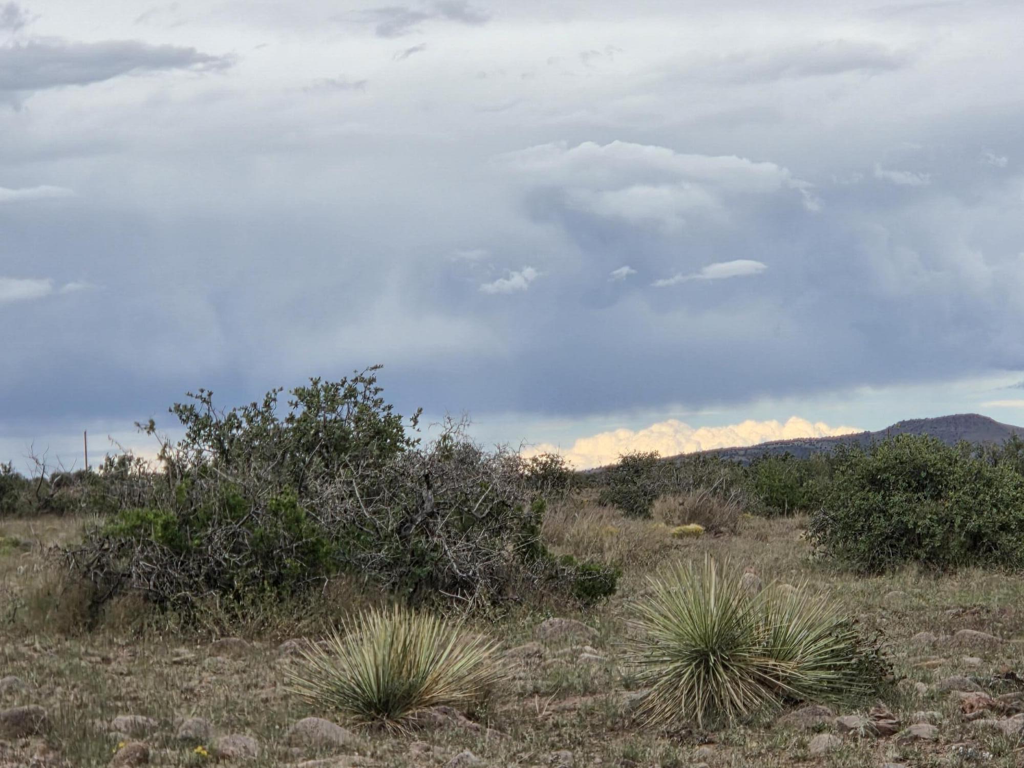 Photo 5 — VL WILLOW SPRINGS RANCH Lot 2-9