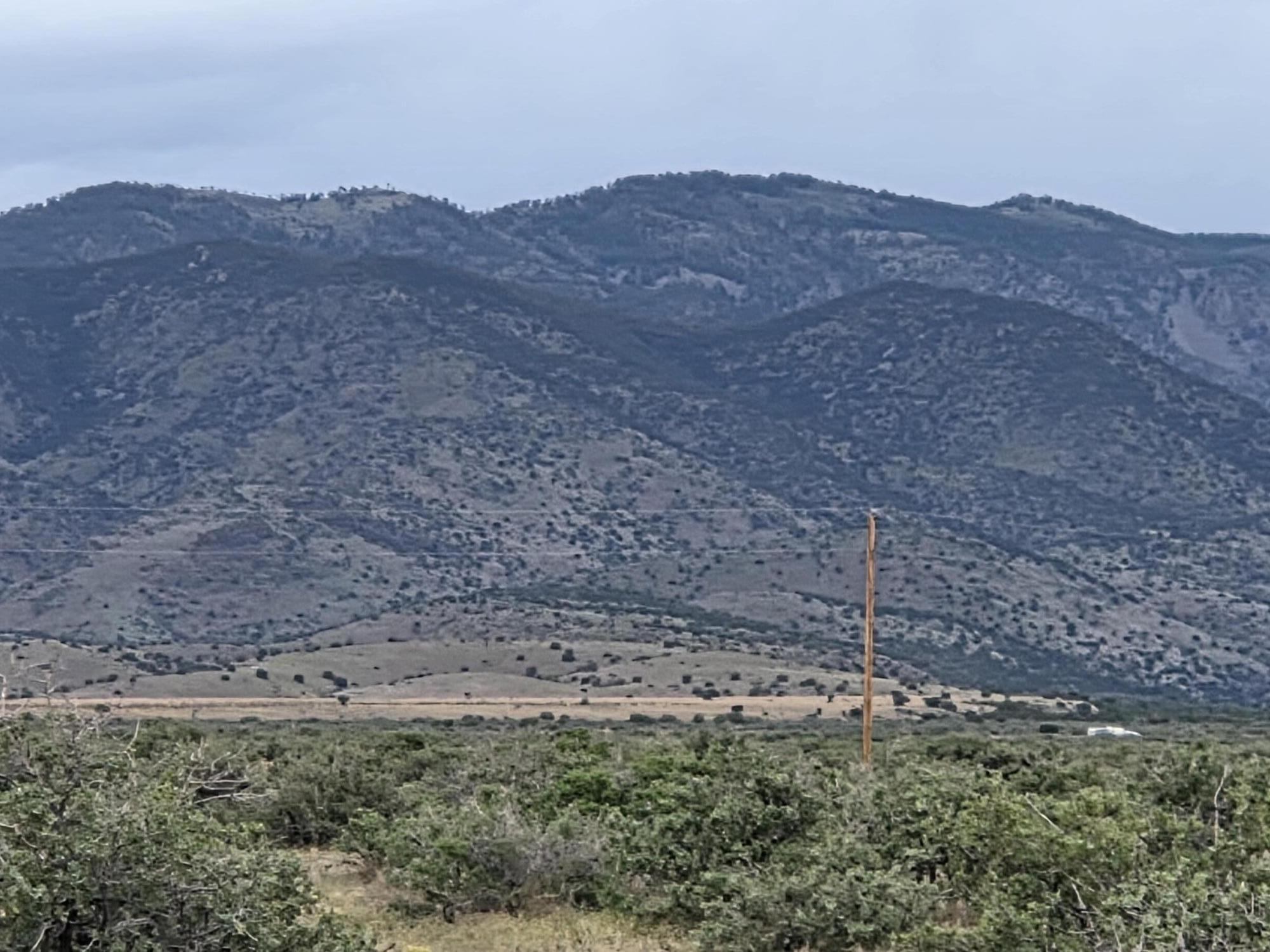 Photo 6 — VL WILLOW SPRINGS RANCH Lot 2-9