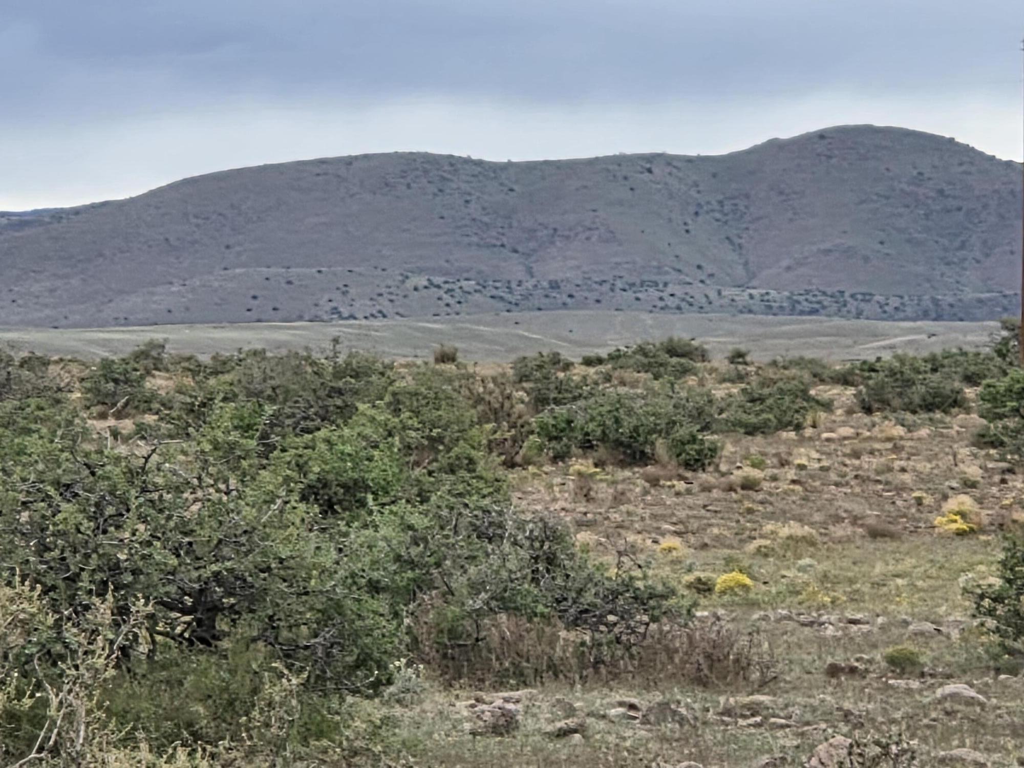 Photo 7 — VL WILLOW SPRINGS RANCH Lot 2-9