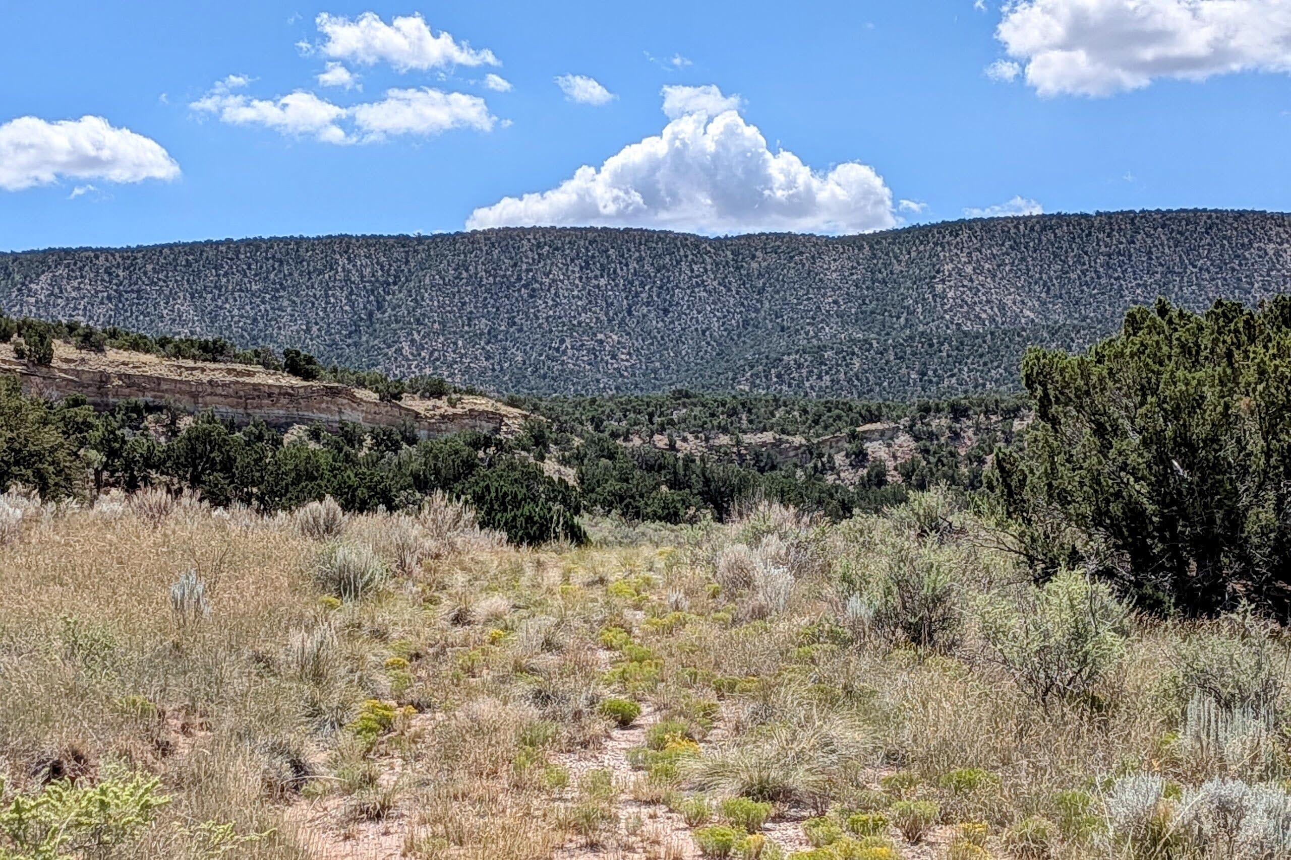 Photo 5 — 86 Victorio Trail