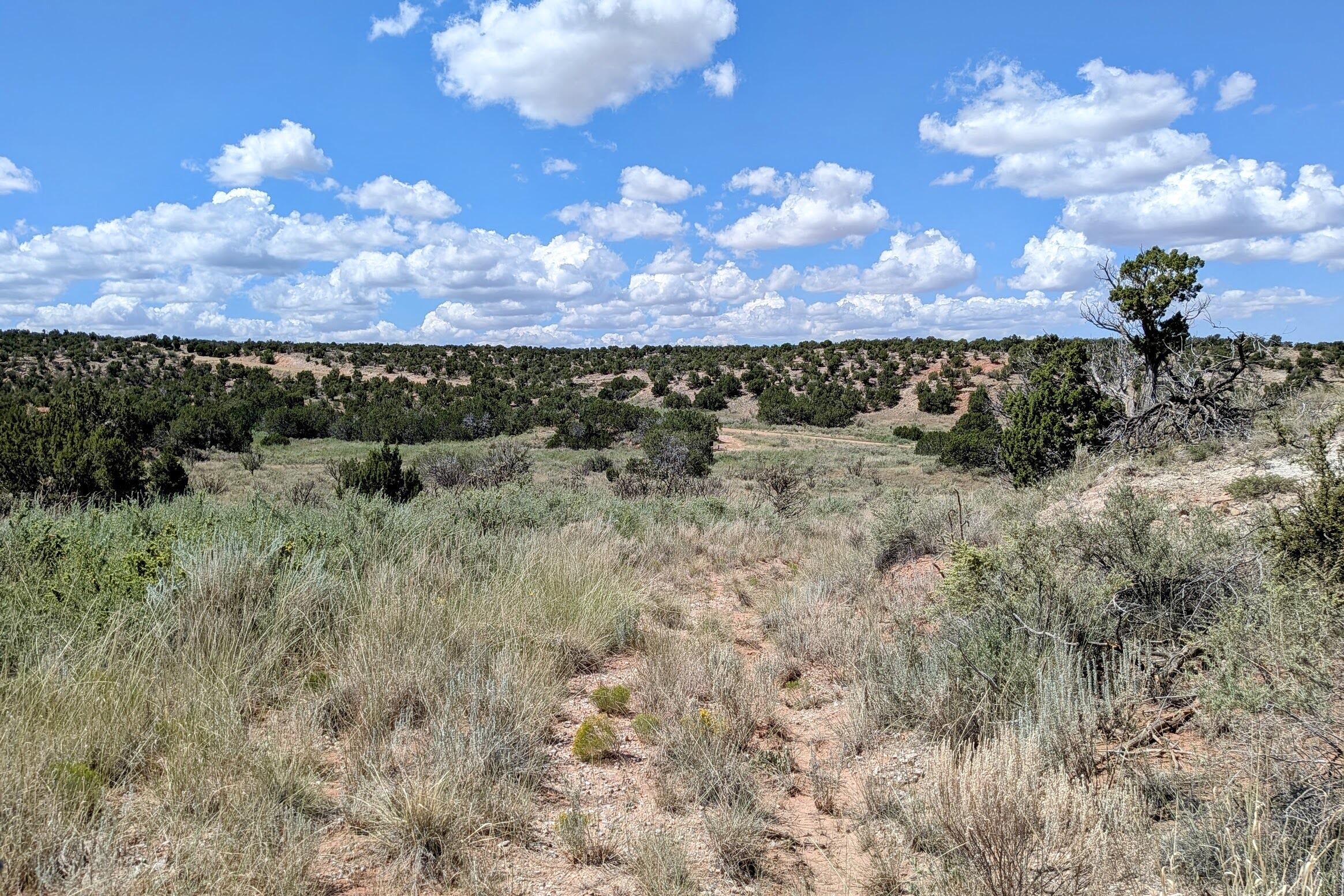Photo 4 — 86 Victorio Trail