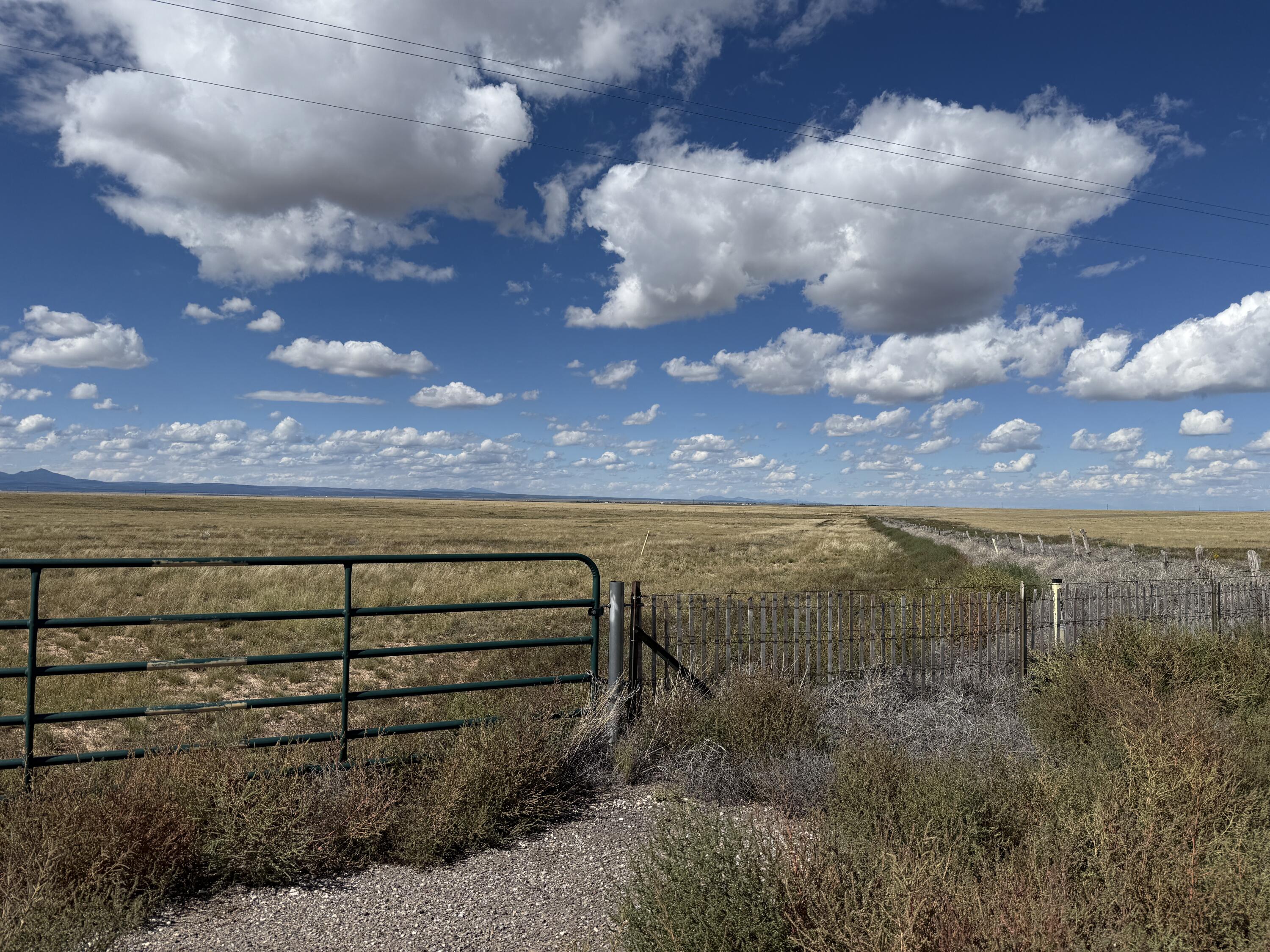 Photo 8 —  Hwy 60