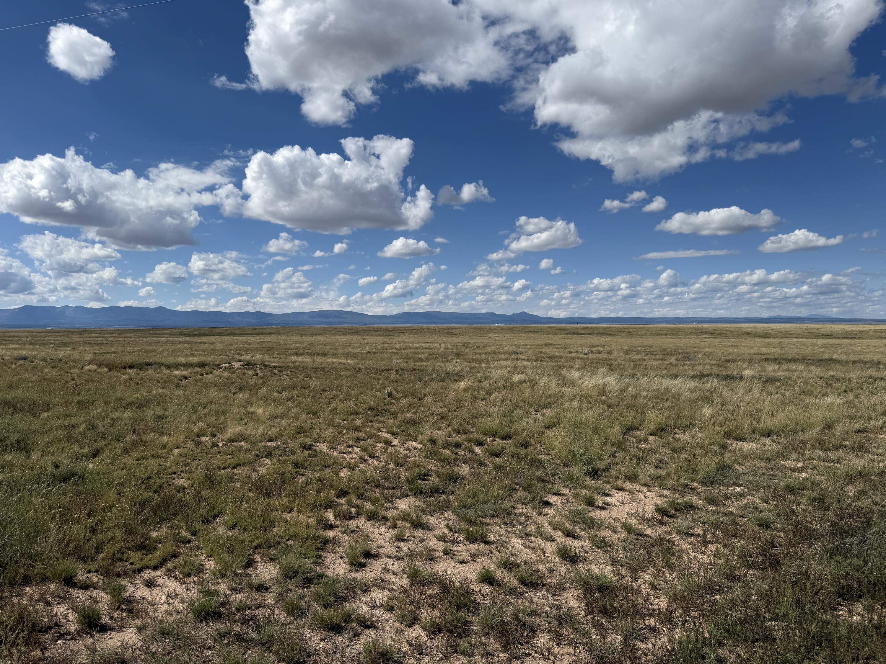 Photo 7 —  Hwy 60