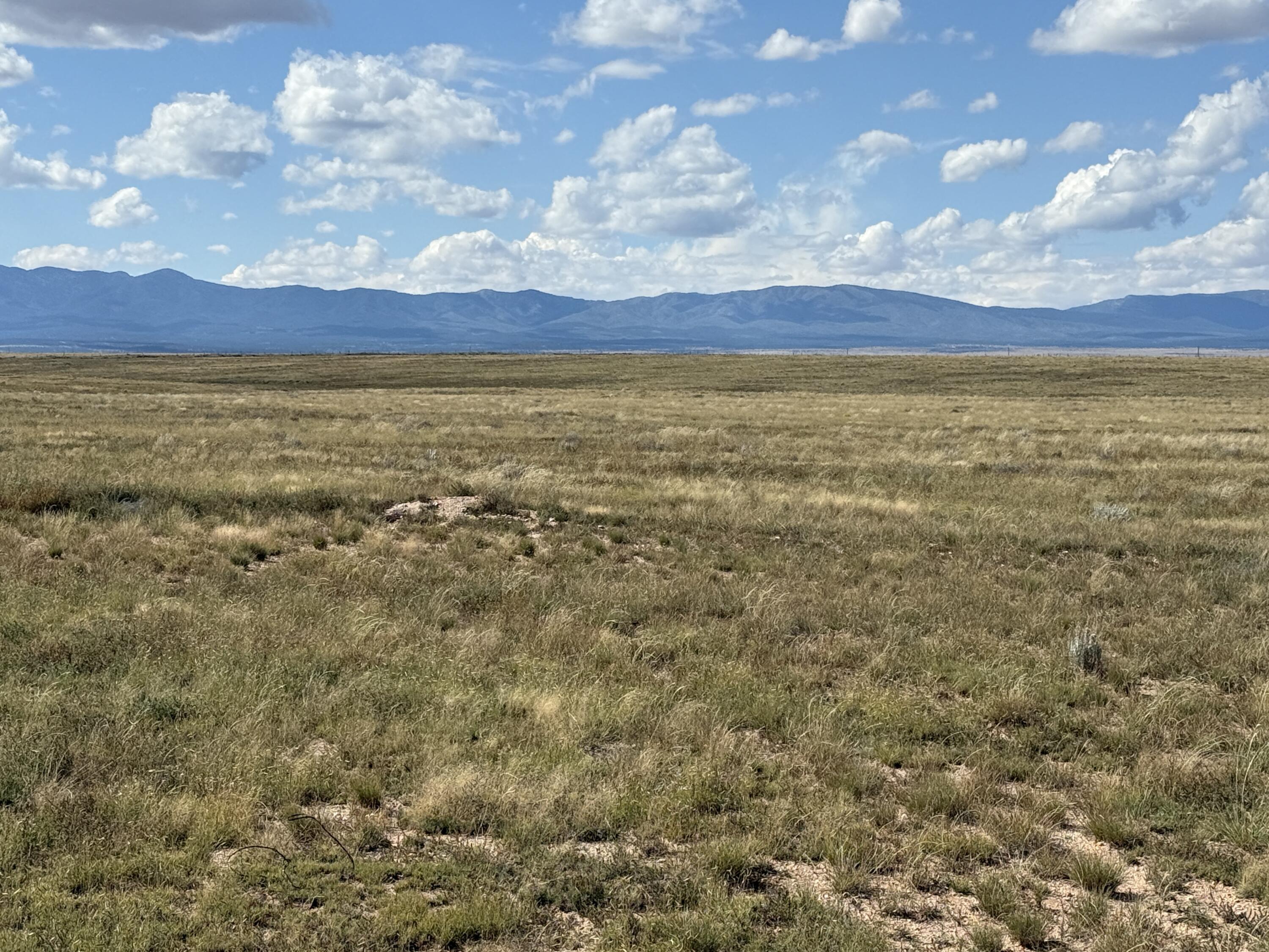 Photo 5 —  Hwy 60