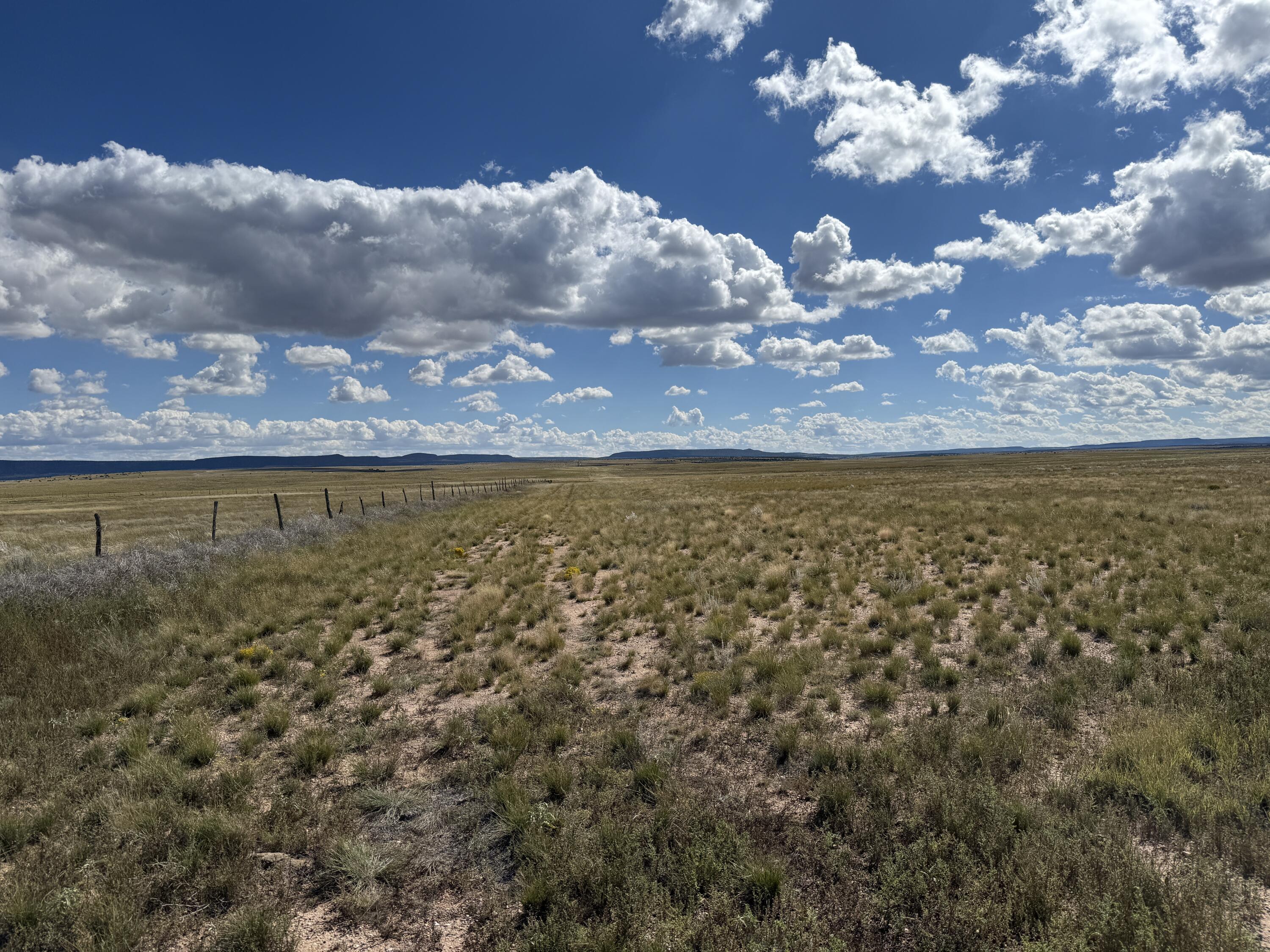 Photo 3 —  Hwy 60
