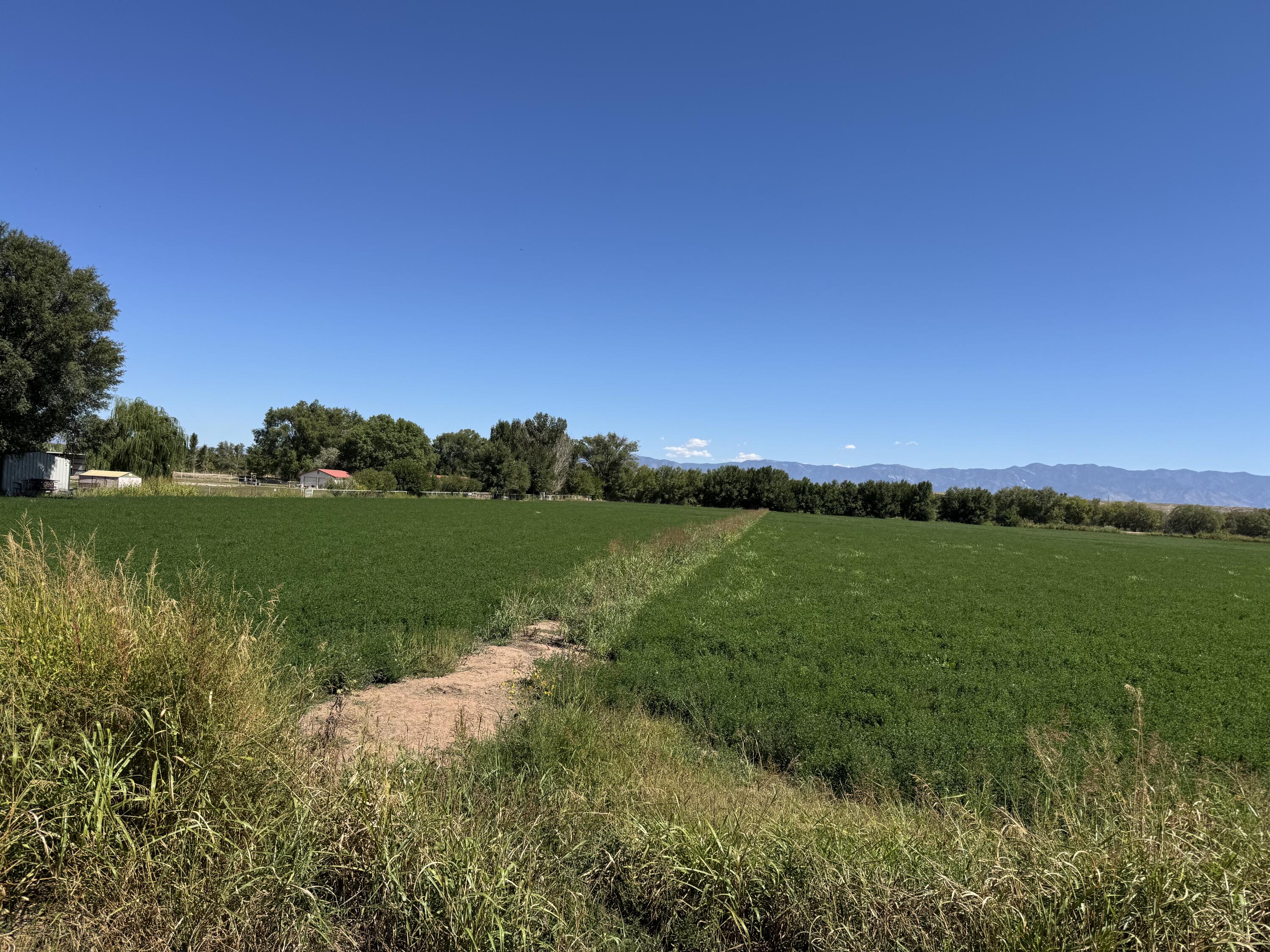 Photo 12 — 0 Barreras Trail