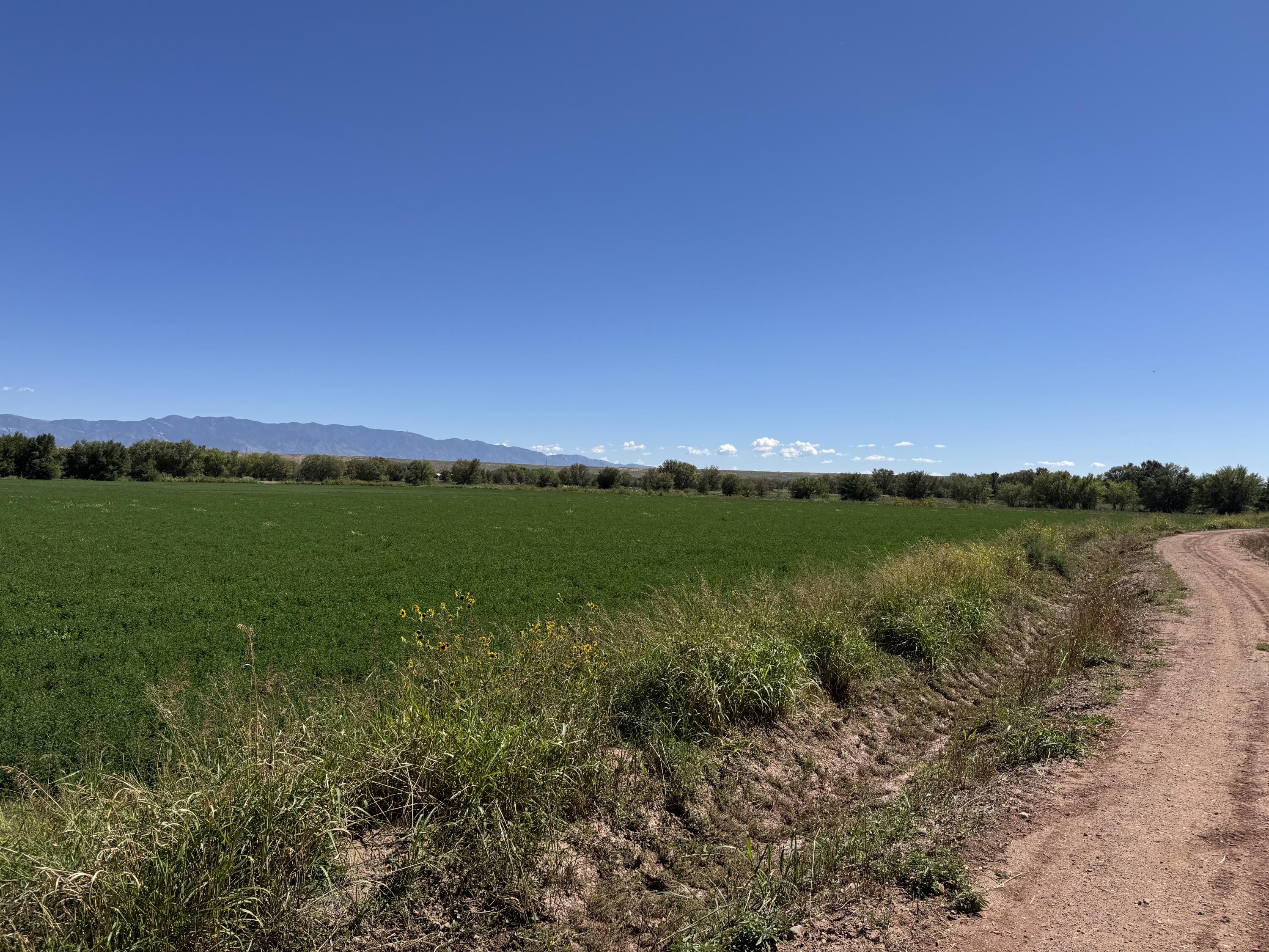 Photo 11 — 0 Barreras Trail