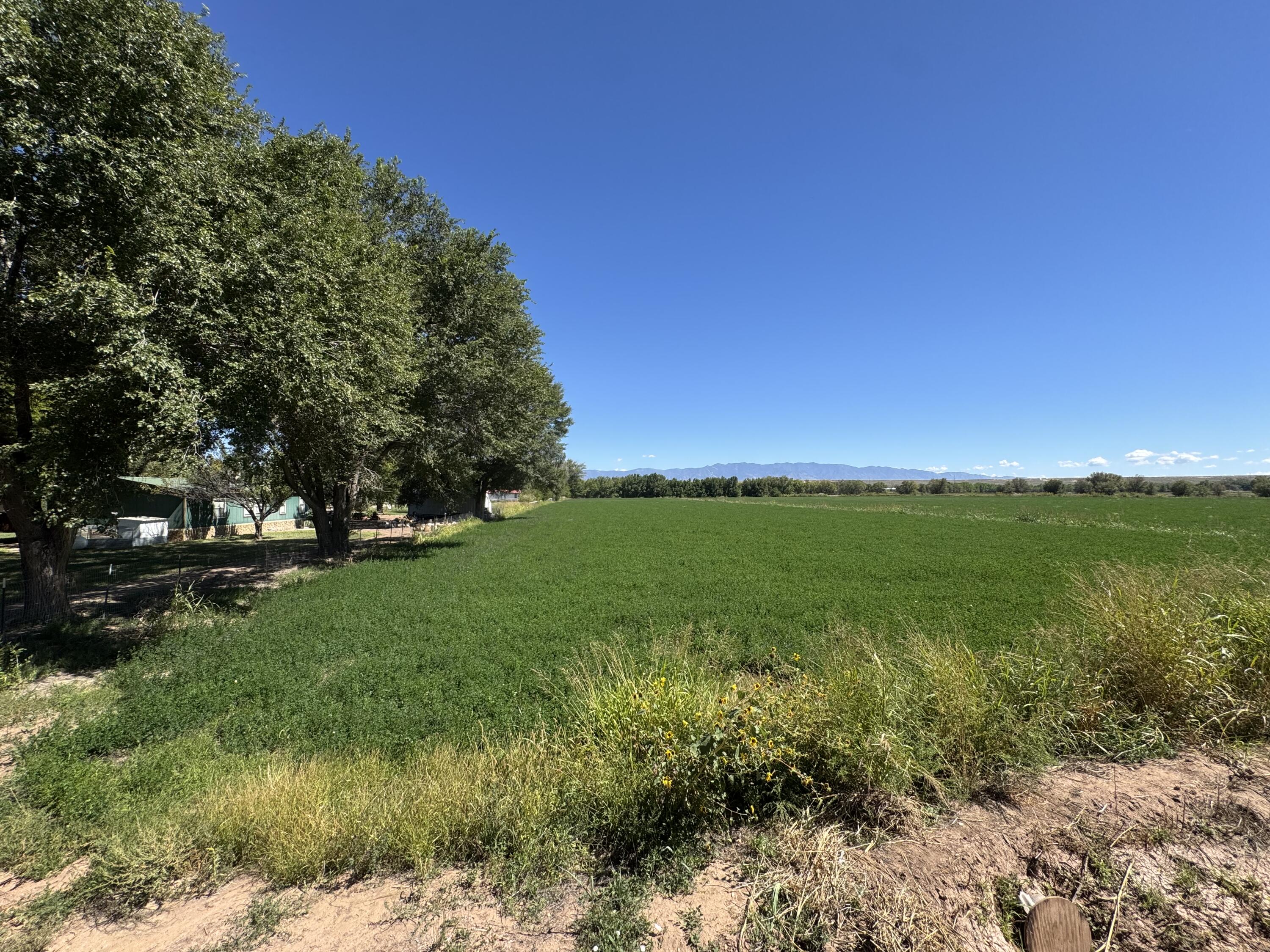 Photo 10 — 0 Barreras Trail