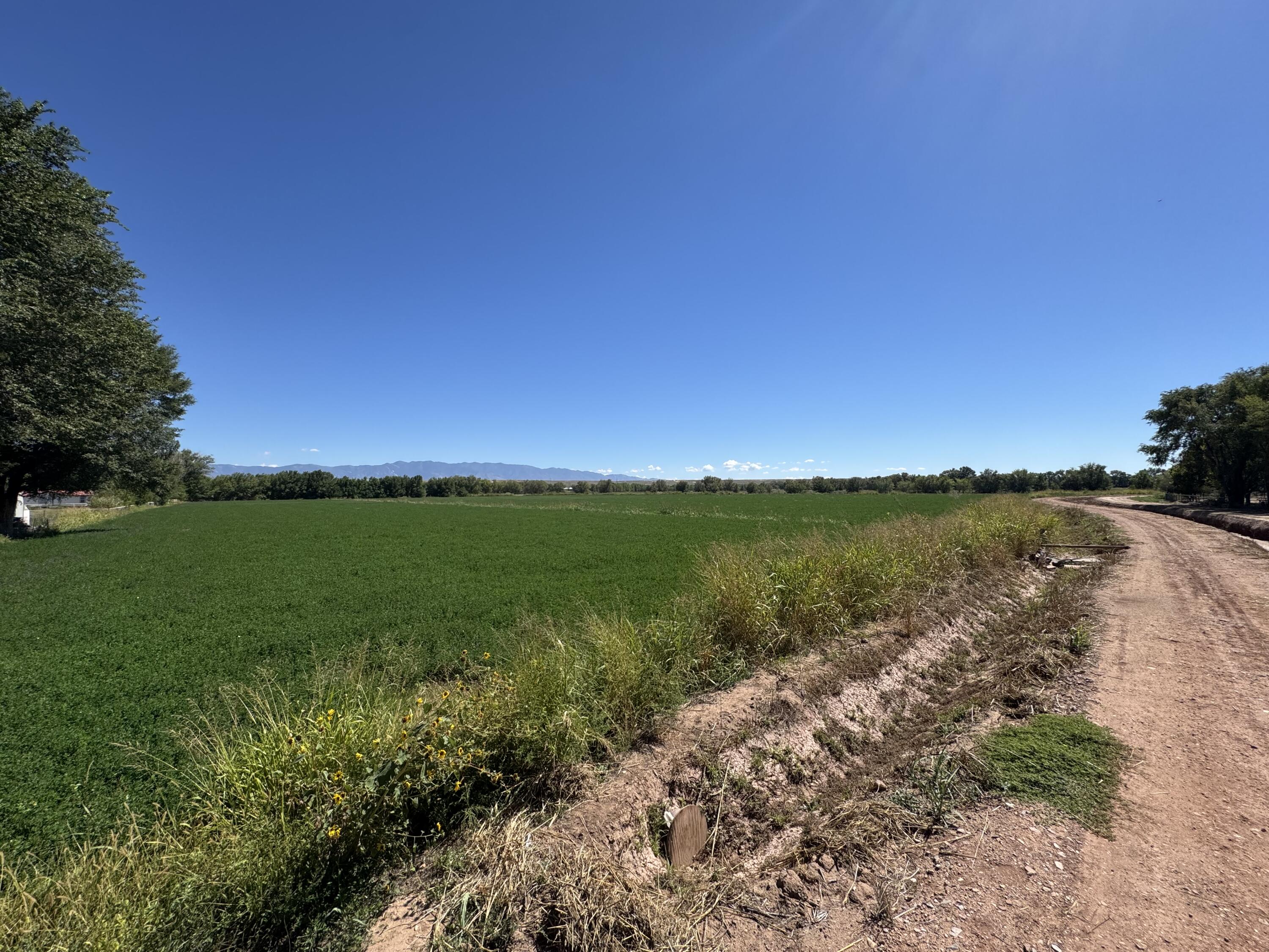 Photo 6 — 0 Barreras Trail