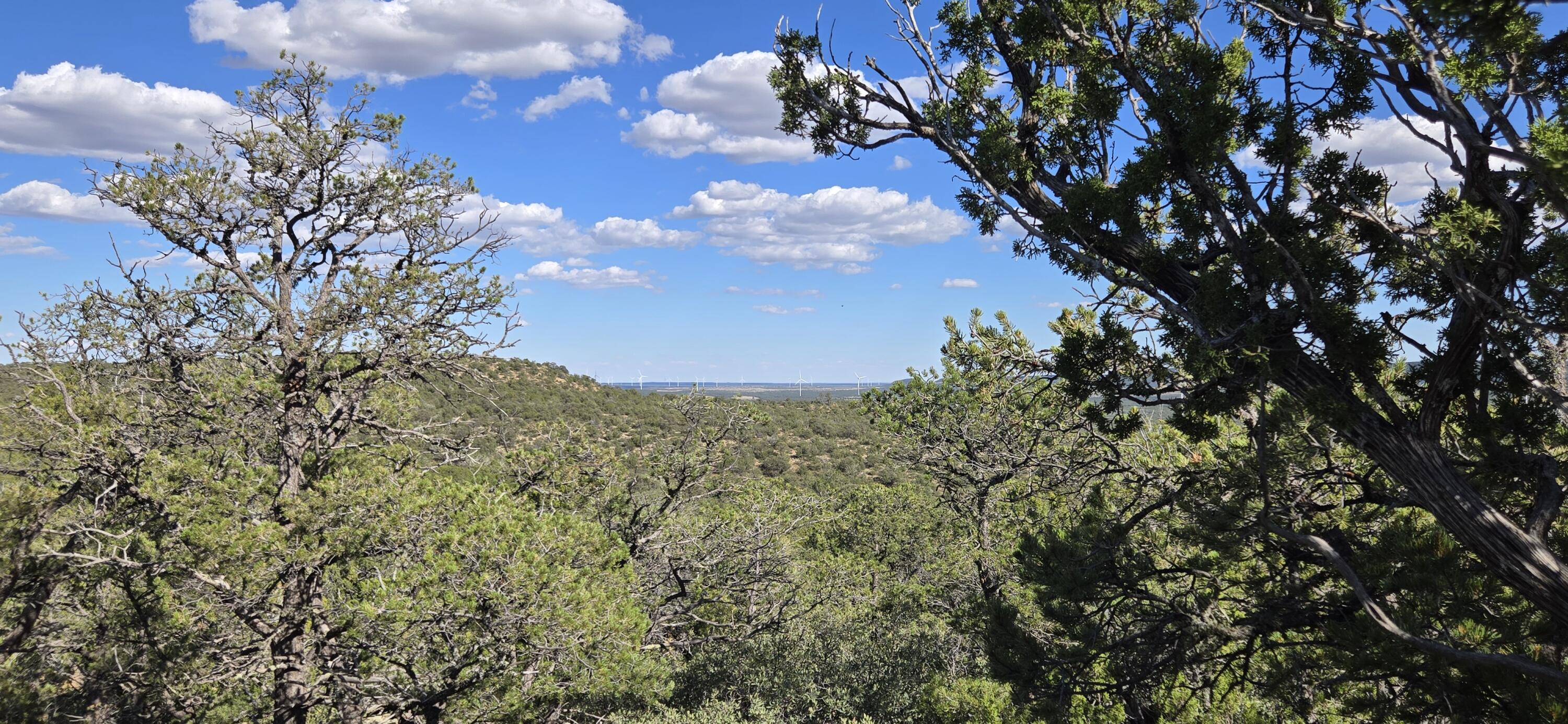 Photo 13 — Lot 15 Swayback Trail
