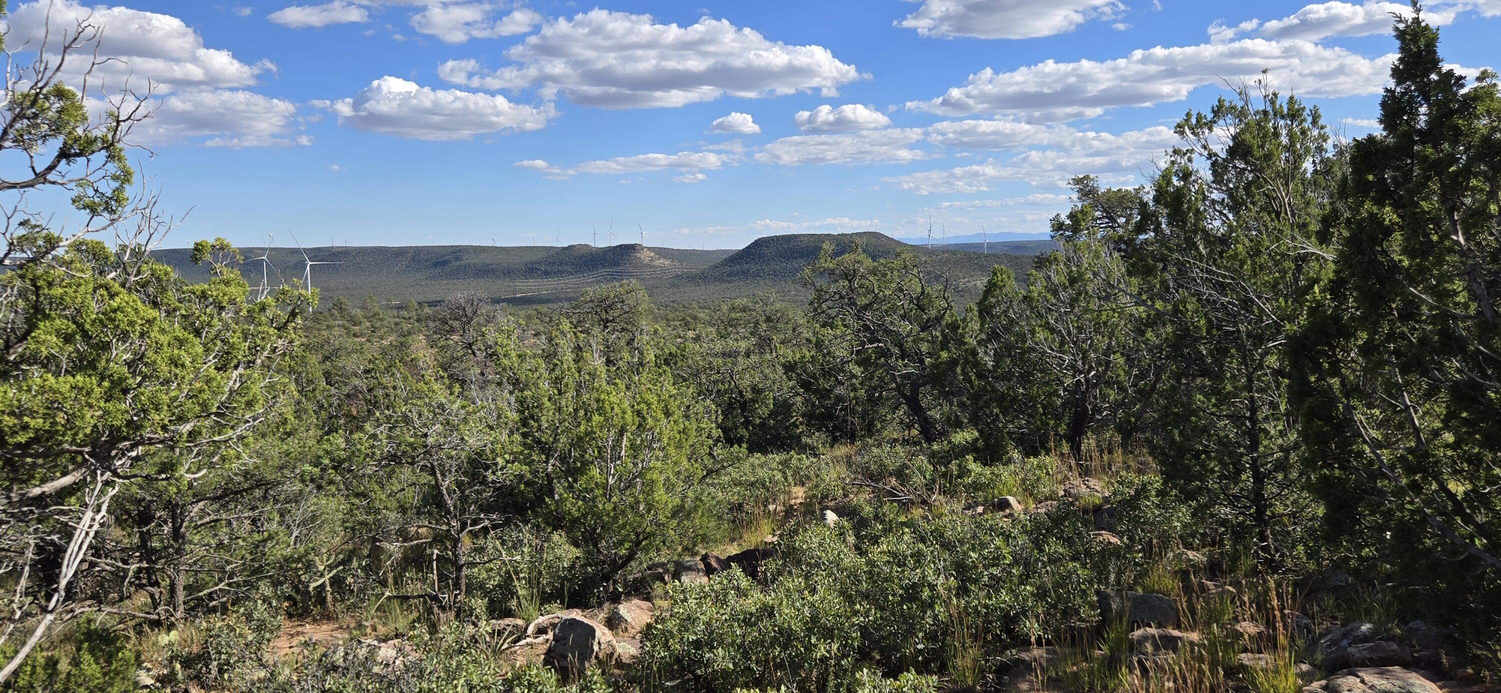 Photo 12 — Lot 15 Swayback Trail