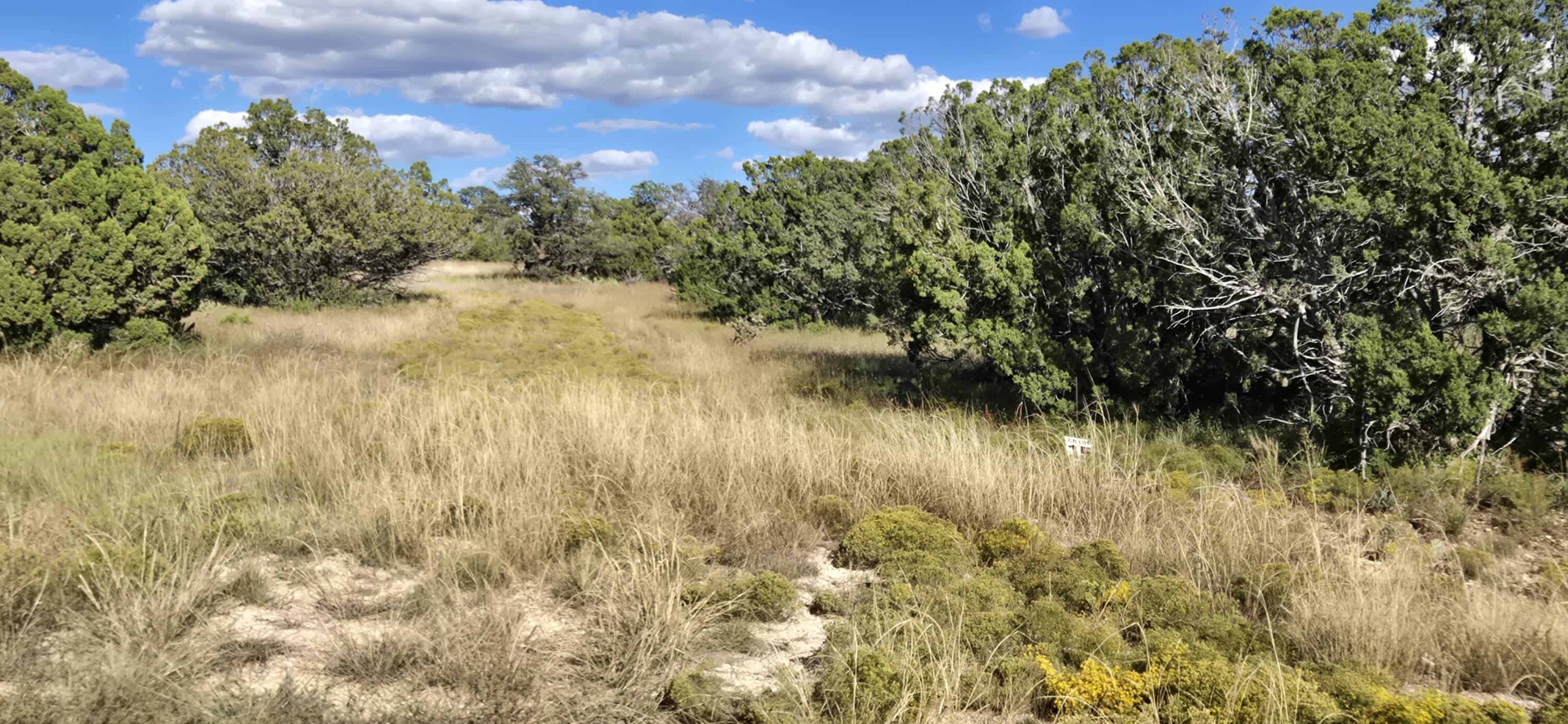 Photo 3 — Lot 15 Swayback Trail