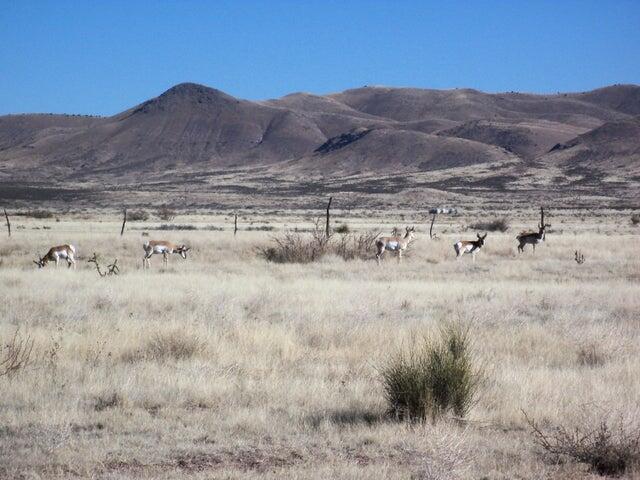 Photo 8 —  WILLOW SPRINGS RANCH Lot: 35