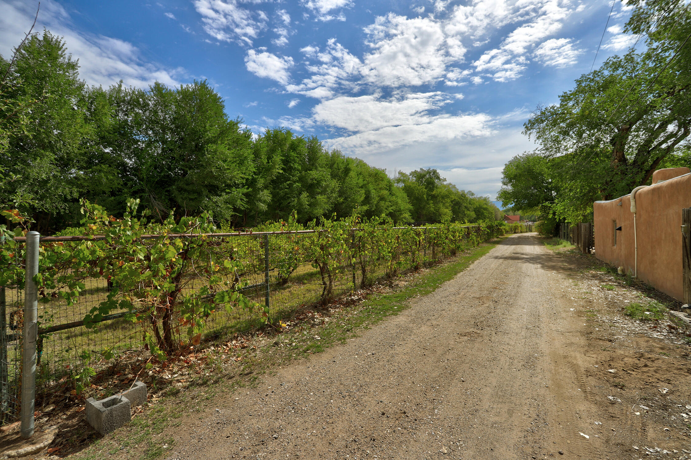 Photo 14 — 3821 CORRALES Road