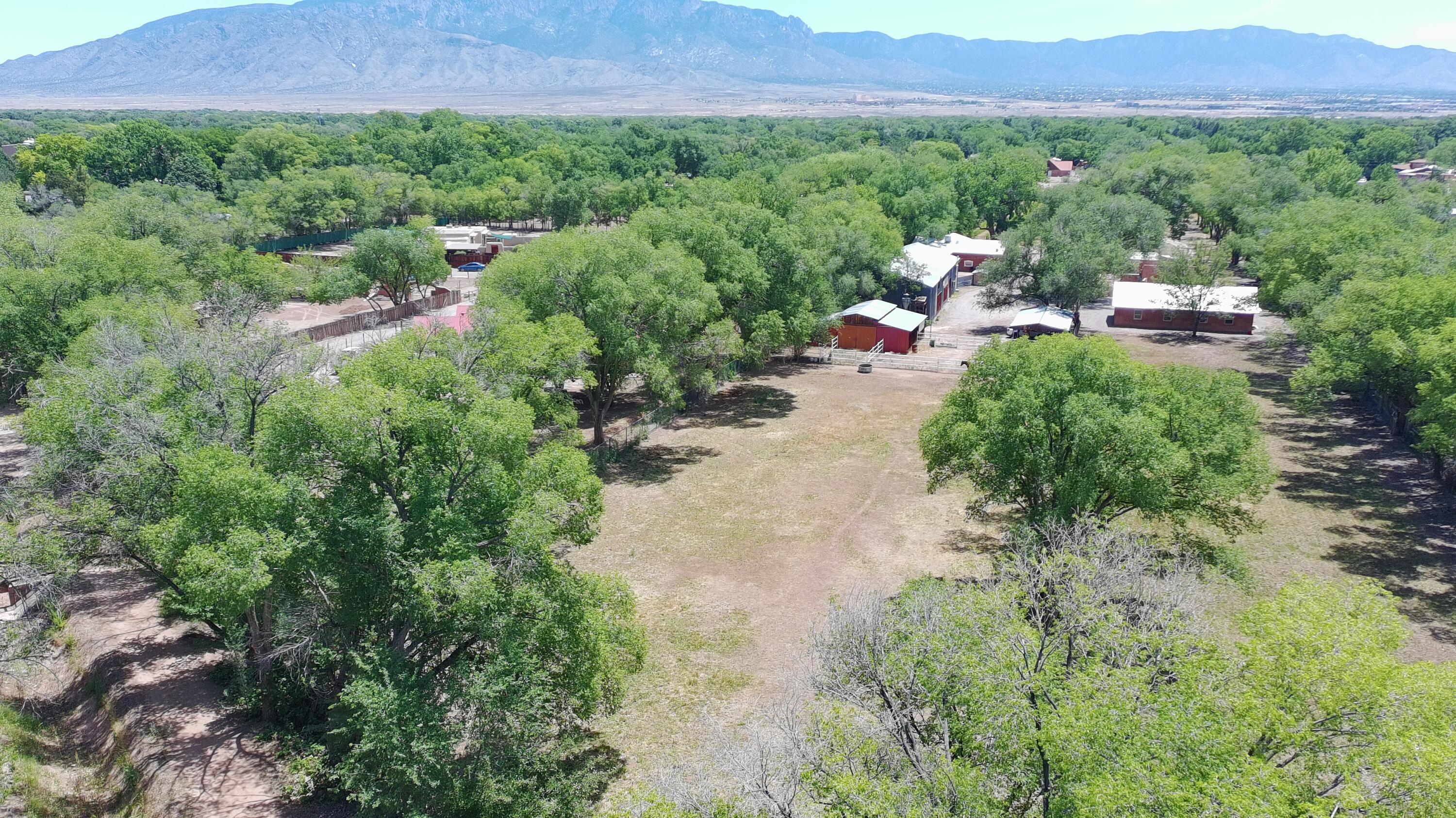 Photo 5 — 3821 CORRALES Road