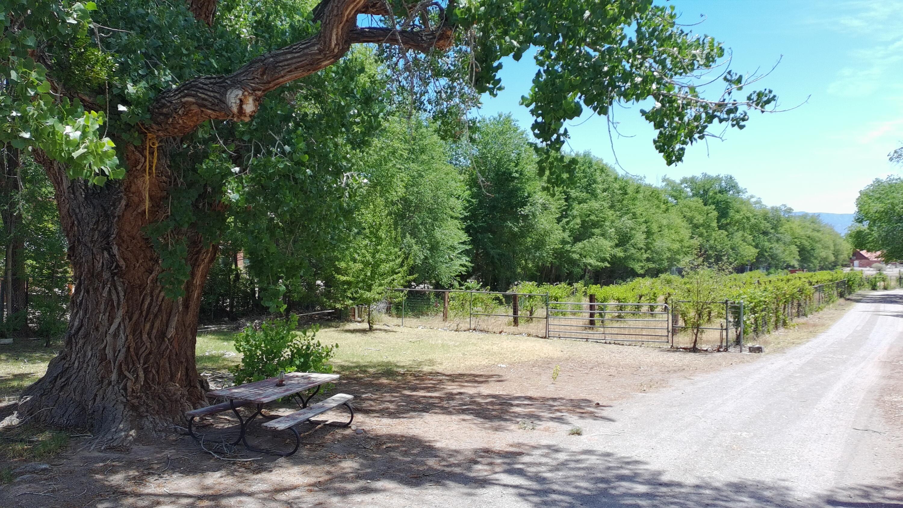 Photo 6 — 3821 CORRALES Road